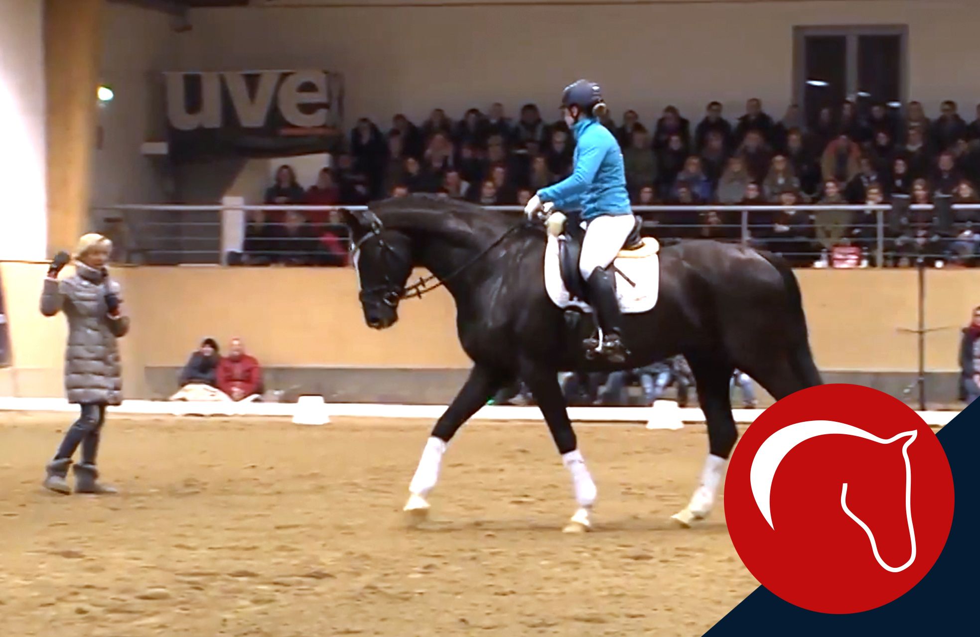 ClipMyHorse.TV Academy Lösende und verfeinernde Arbeit