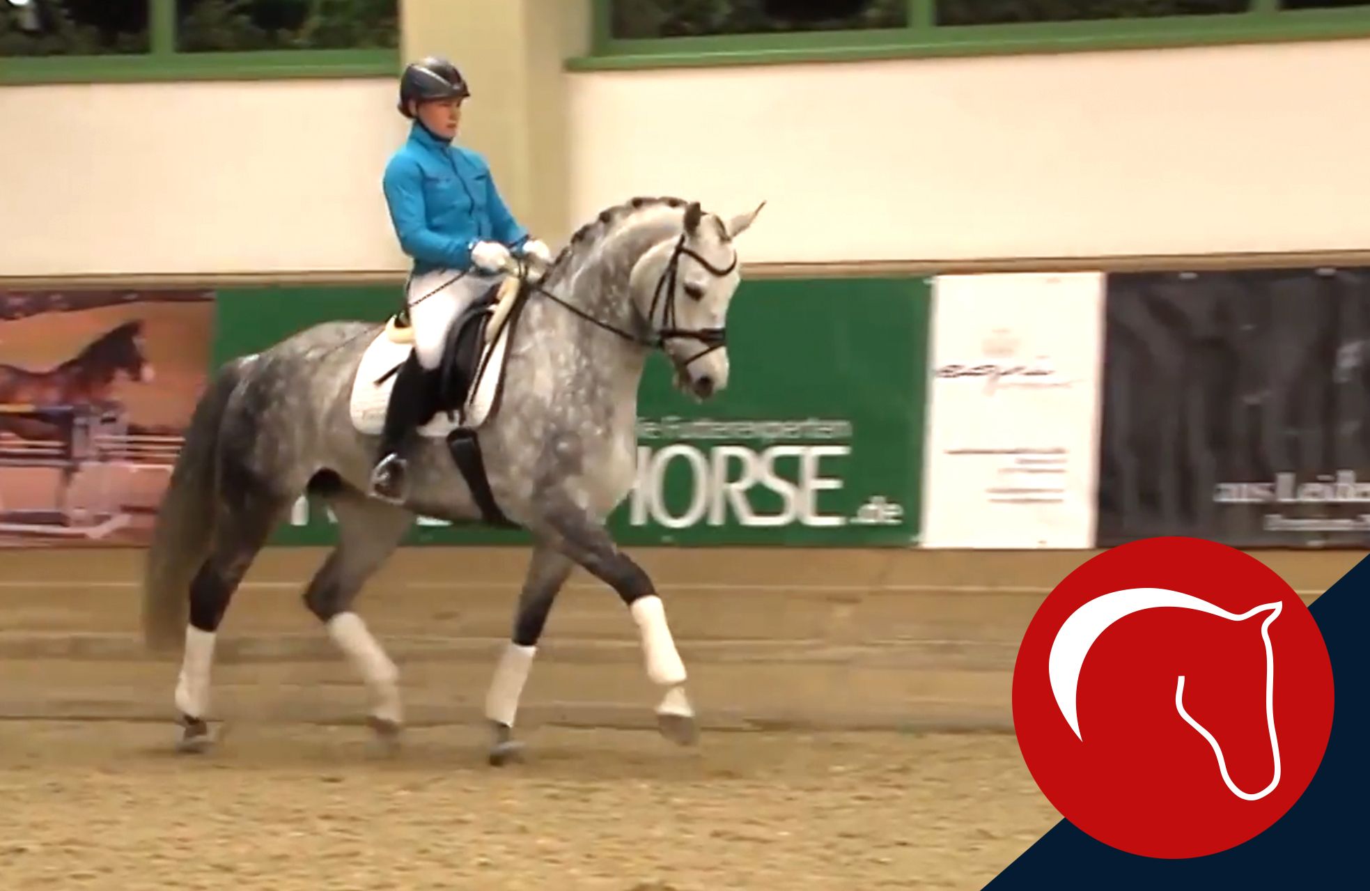 ClipMyHorse TV Academy Den Motor Aktivieren Und Das Pferd Vermehrt clipmyhorse-tv-academy-den-motor-aktivieren-und-das-pferd-vermehrt