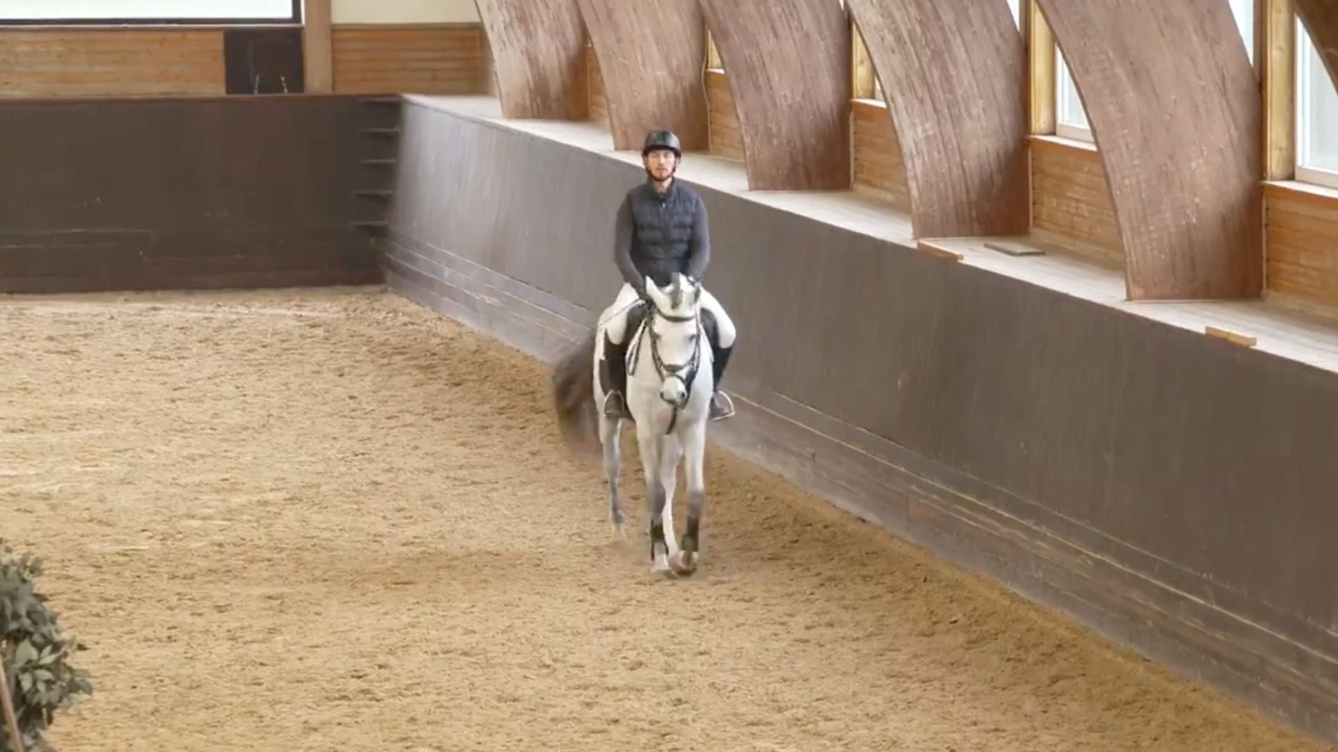 Cashmere Blue: Höchste Gesamtwertung der Hengstleistungsprüfung in Adelheidsdorf 