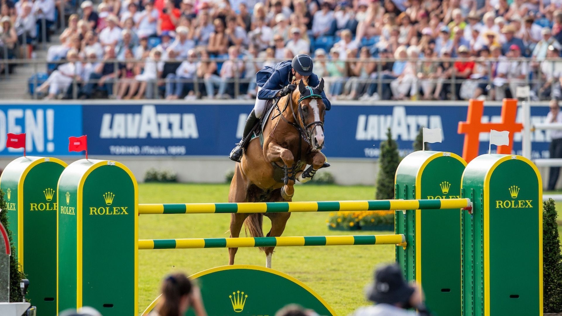 Tobago Z wird Deckhengst in Zangersheide