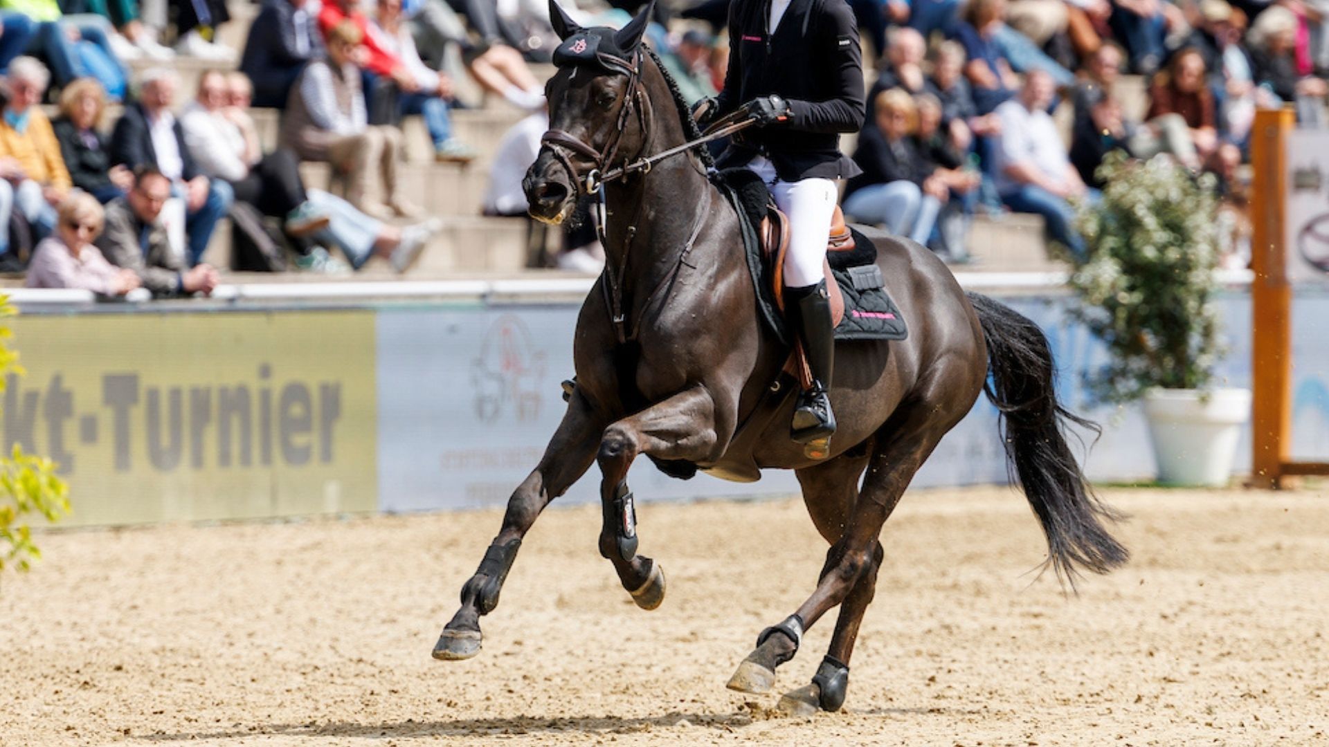 Richard Vogel gewinnt das CSI5* Springen in Greenwich