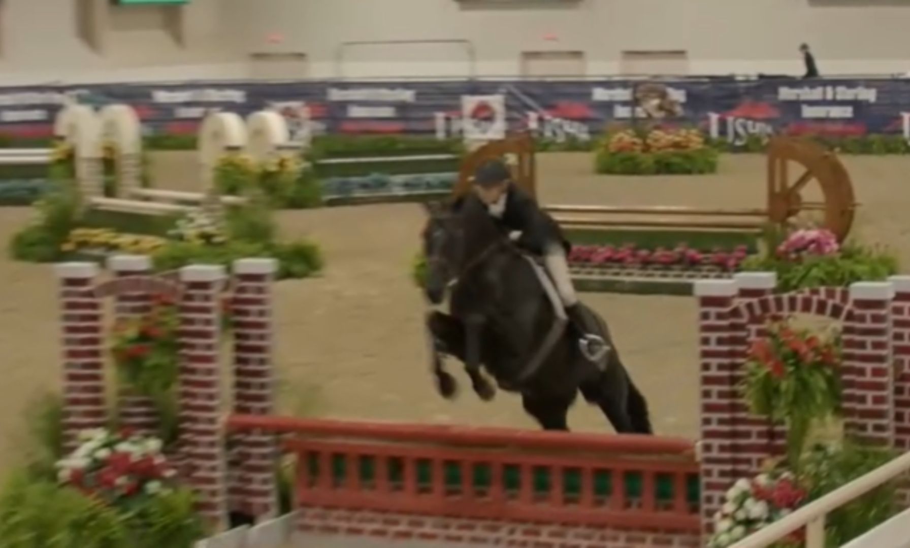Karin Binz and Vatikan Capture Section A of the USHJA Amateur Owner Hunter 3'3"/3'6" Championship
