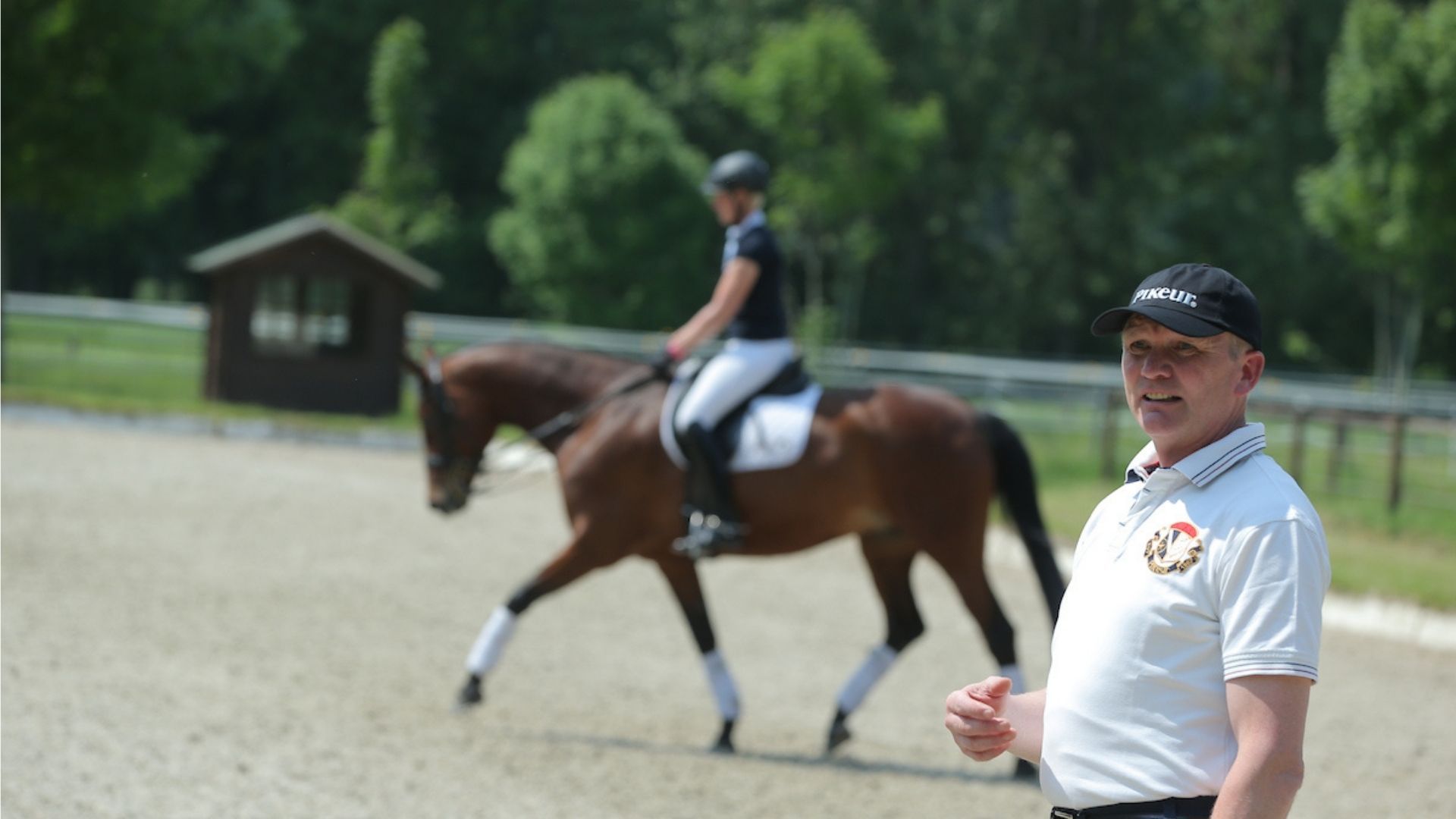 Diskussionsrunde über Gymnastizieren von Dressurpferden in Warendorf