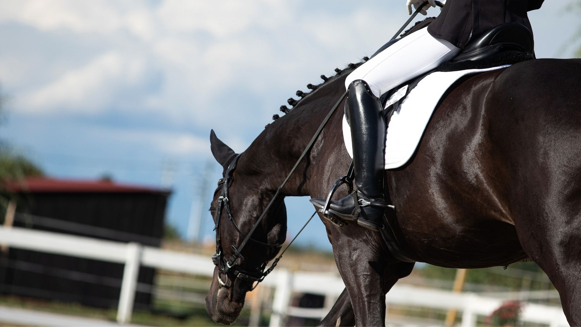US Equestrian genehmigt Änderung der Blutregel