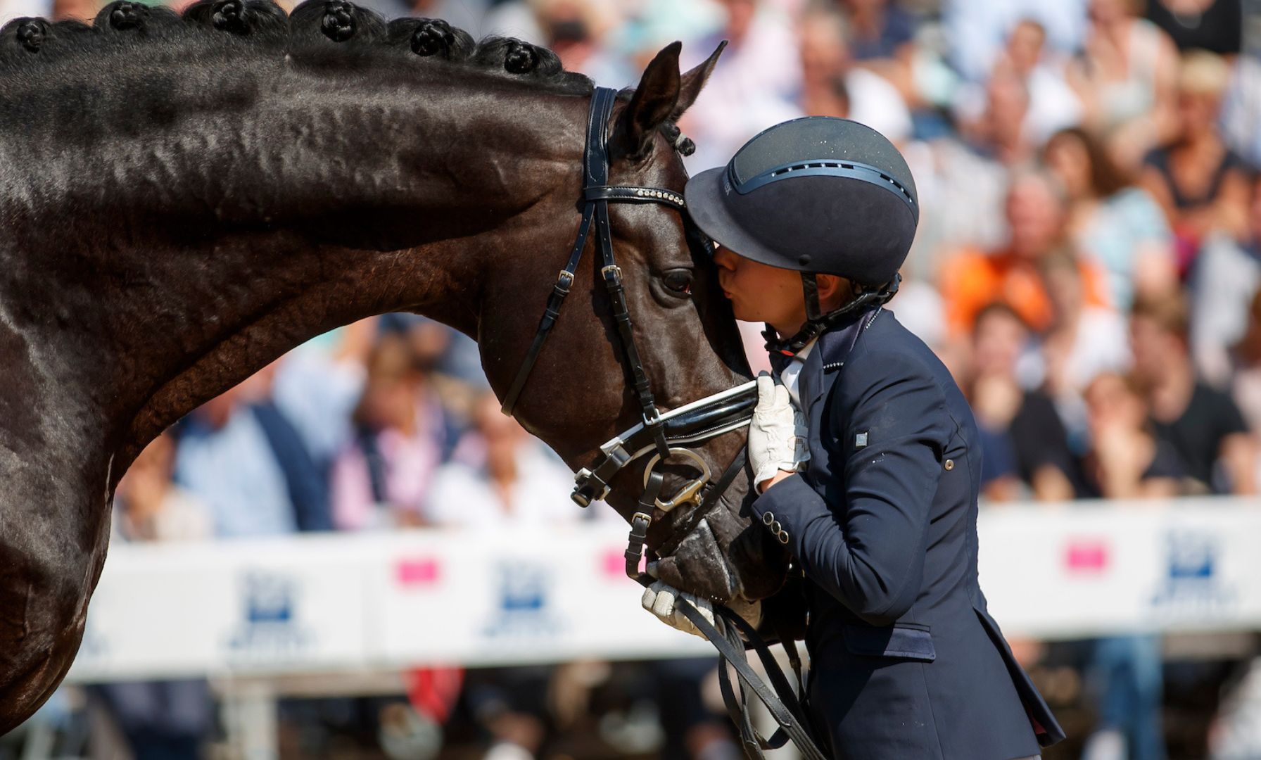 FEI holt Experten für Pferdewohl ins Team