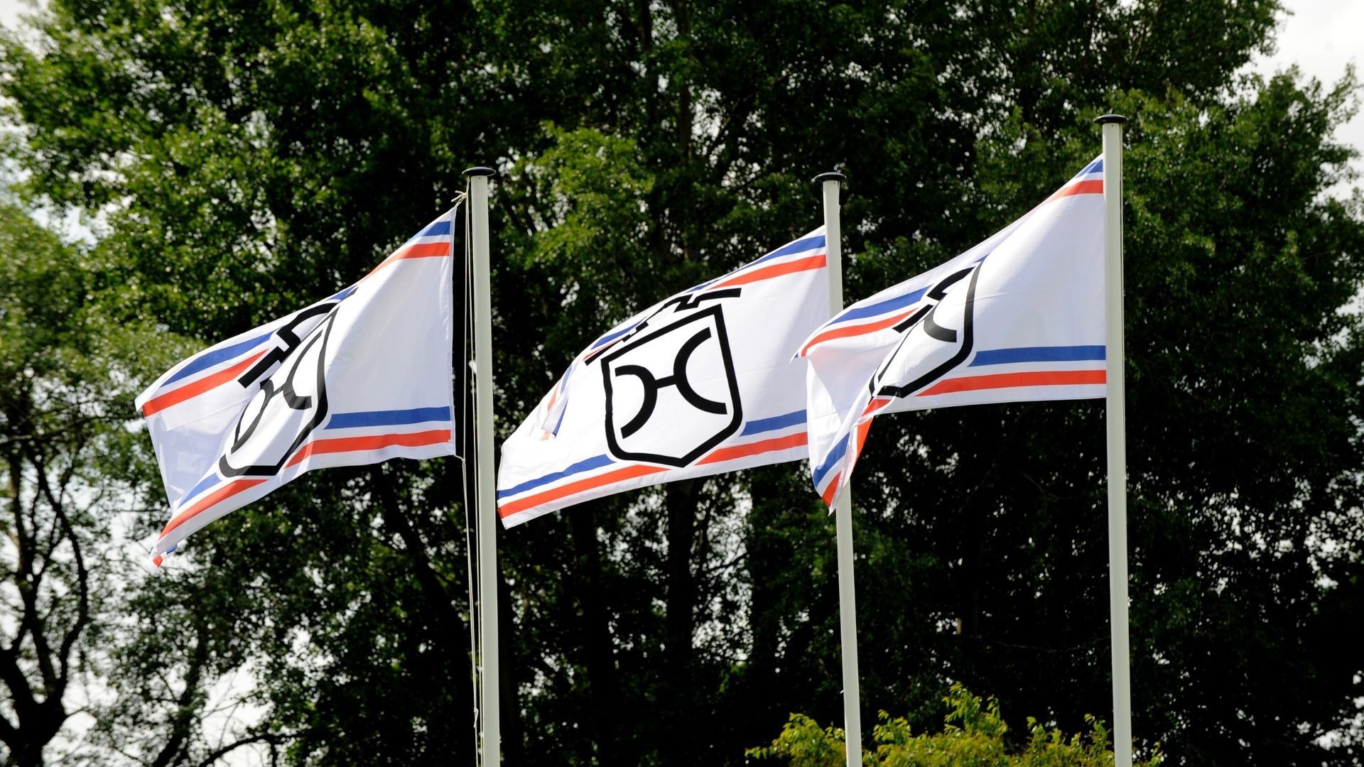 Hengstpräsentation des Holsteiner Verbands am 7. Februar