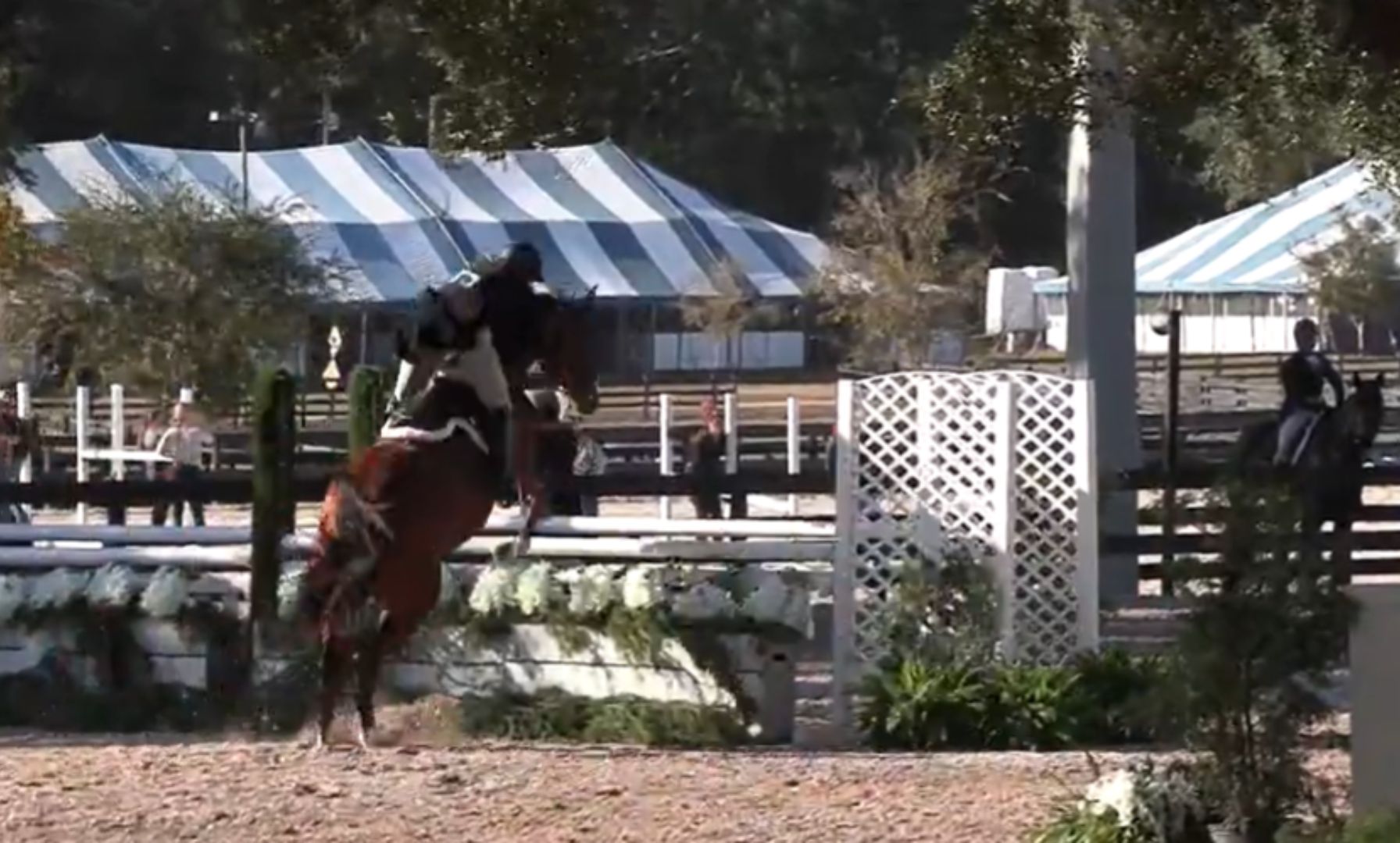 Schweppe and Cataumet Rise to the Top in $10,000 USHJA International Hunter Derby