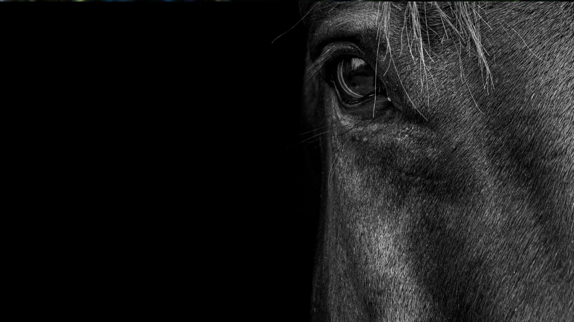 Geschäftsführungswechsel bei den Oldenburger Verbänden