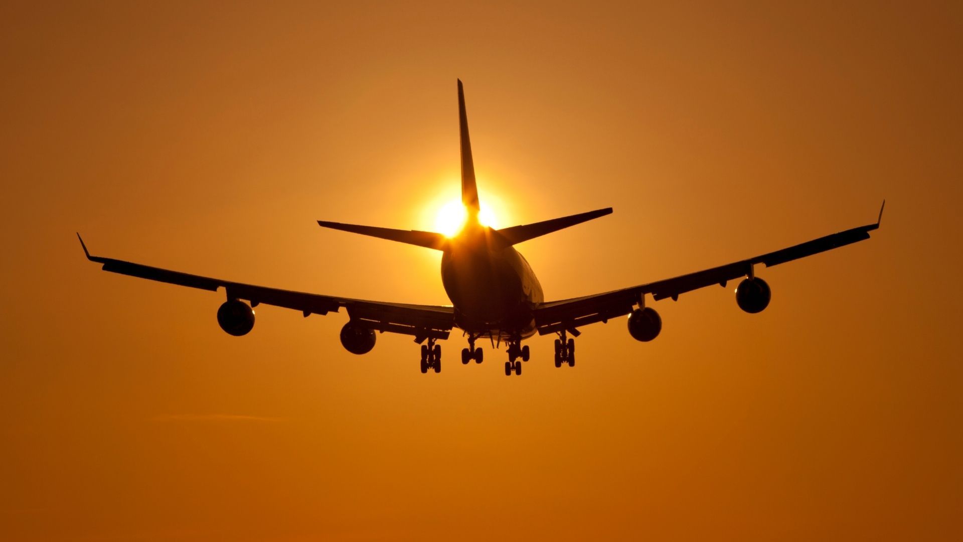 Olympiasieger und Europameister landen in Calgary