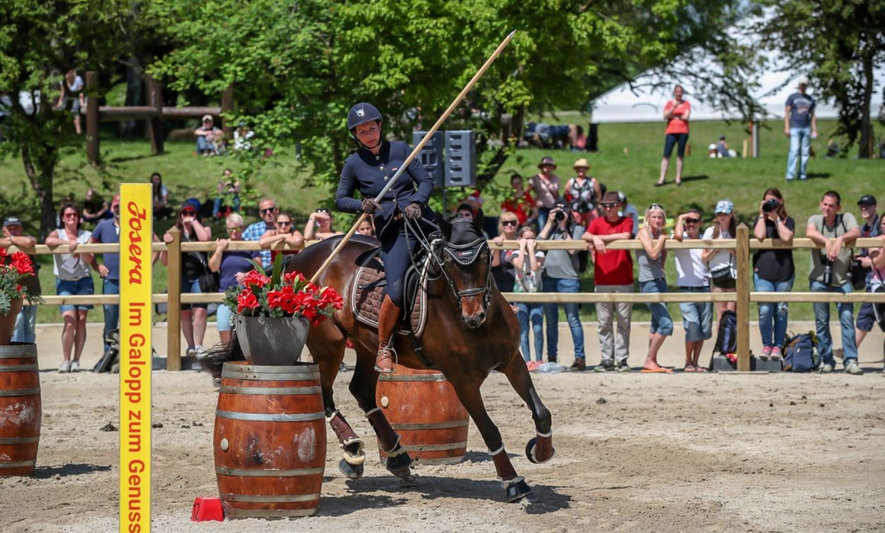 Understanding Working Equitation: An Emerging Equestrian Sport