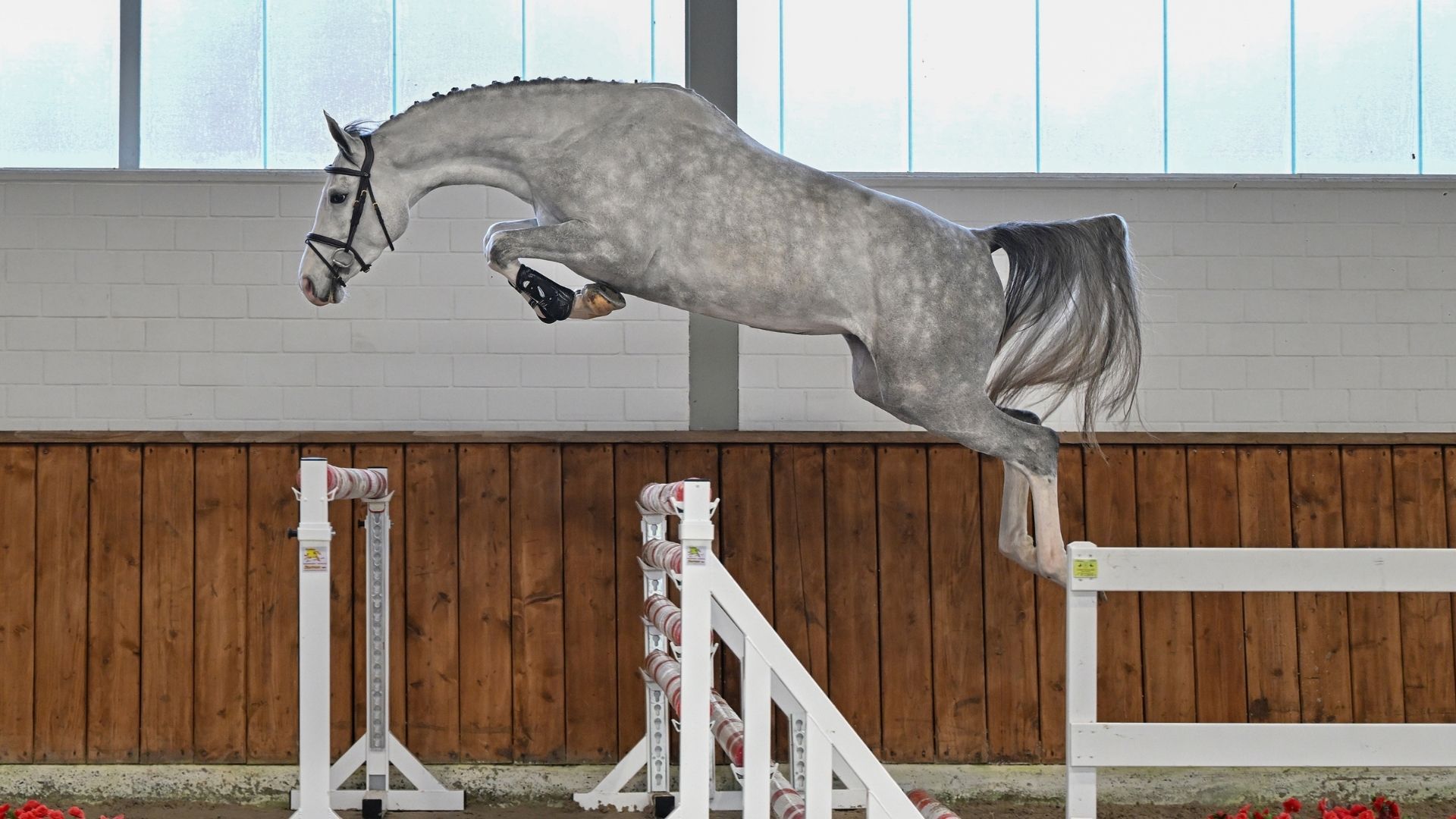 Christmas Free Jumping Sale to Debut at Sentower Park on December 17