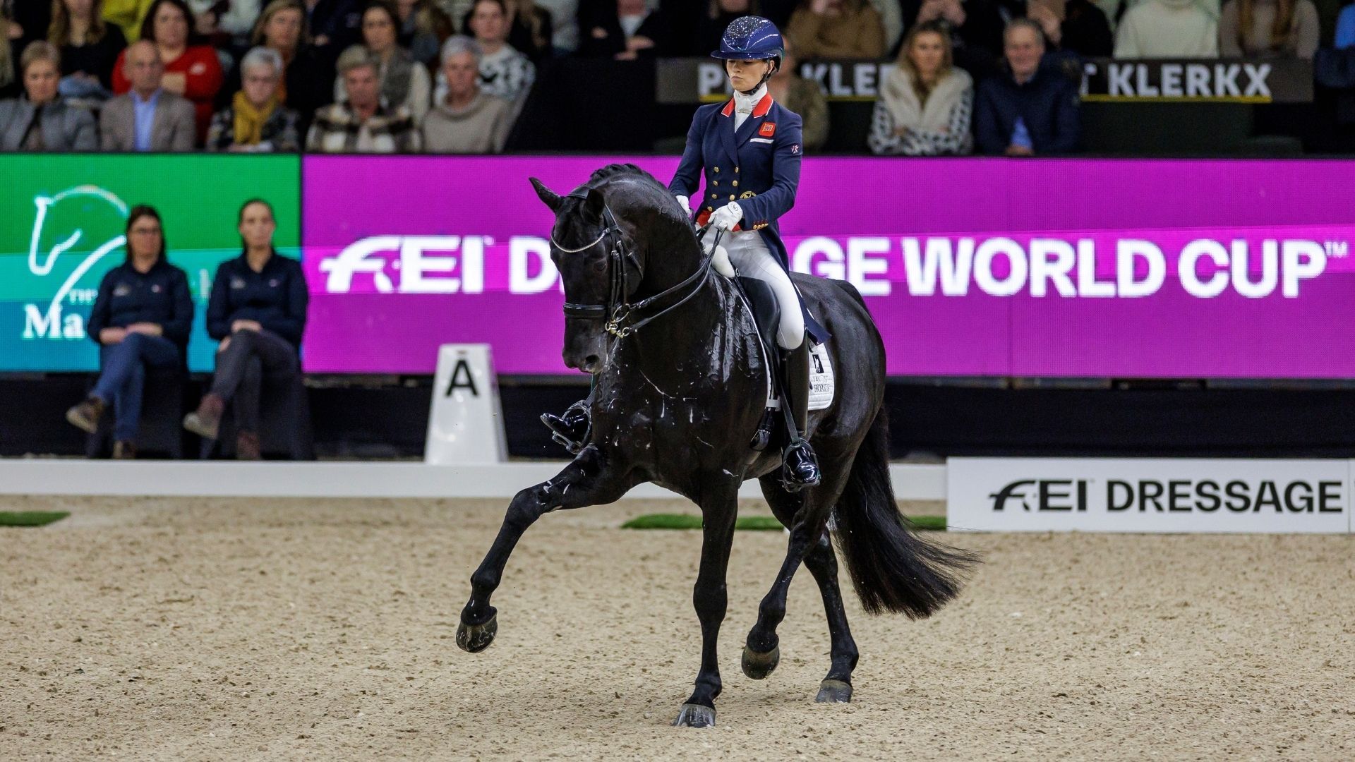 Glamourdale vor Wendy de Fontaine: FEI Dressage World Cup™ Grand Prix in Amsterdam