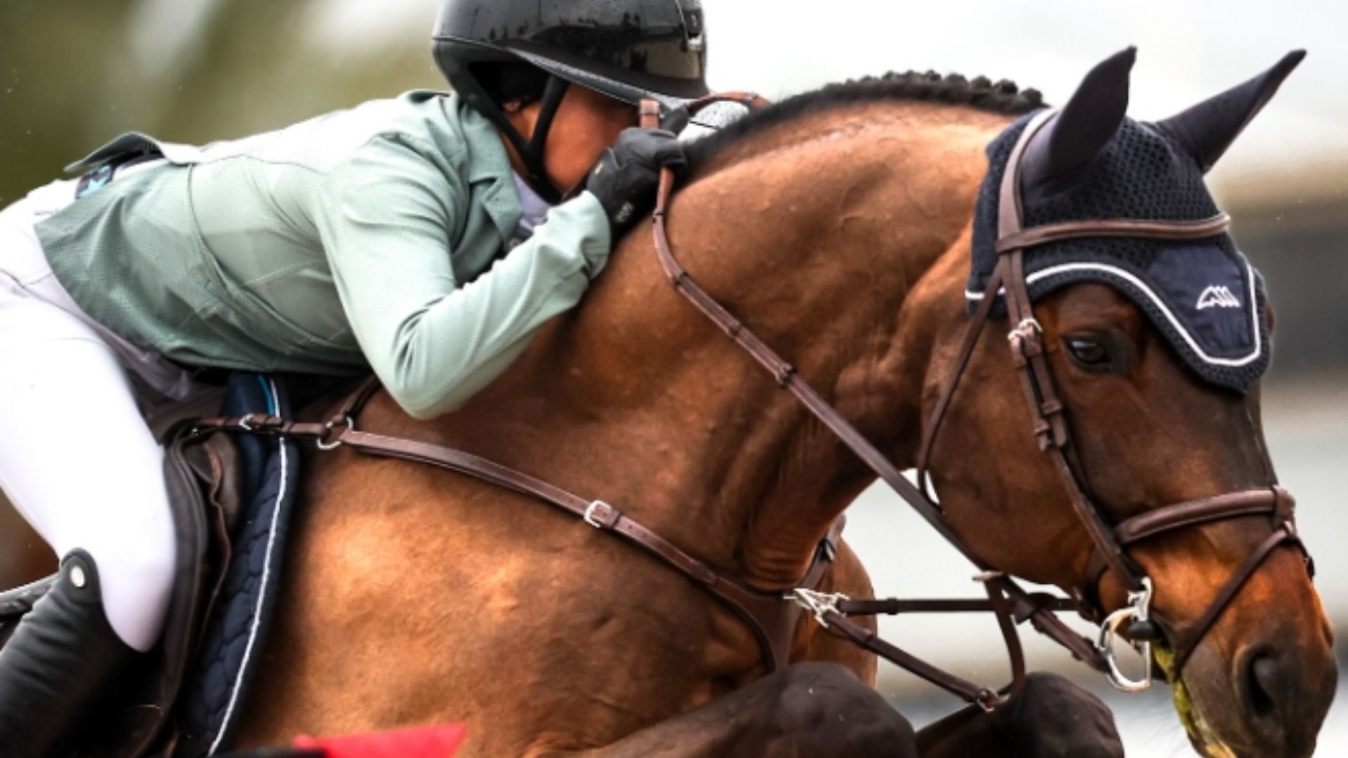 Mimi Gochman Triumphs in the CSI5* Adequan WEF Challenge Cup