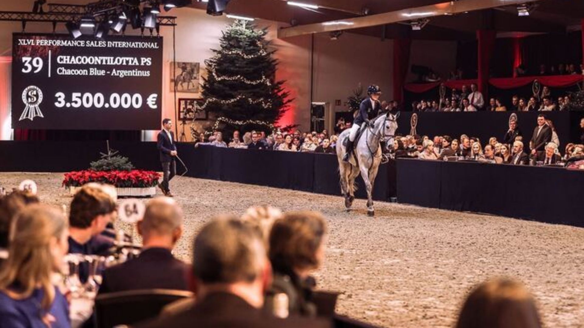 3,5 Millionen Euro für Chacoontilotta PS bei der P.S.I.-Auktion