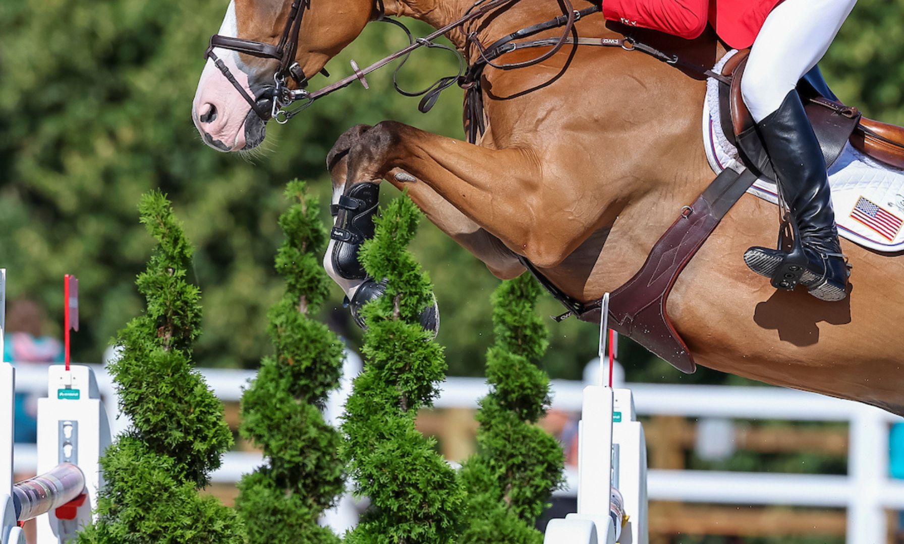 Hunter Derby Friday Concludes with Strong Performances in Wilmington