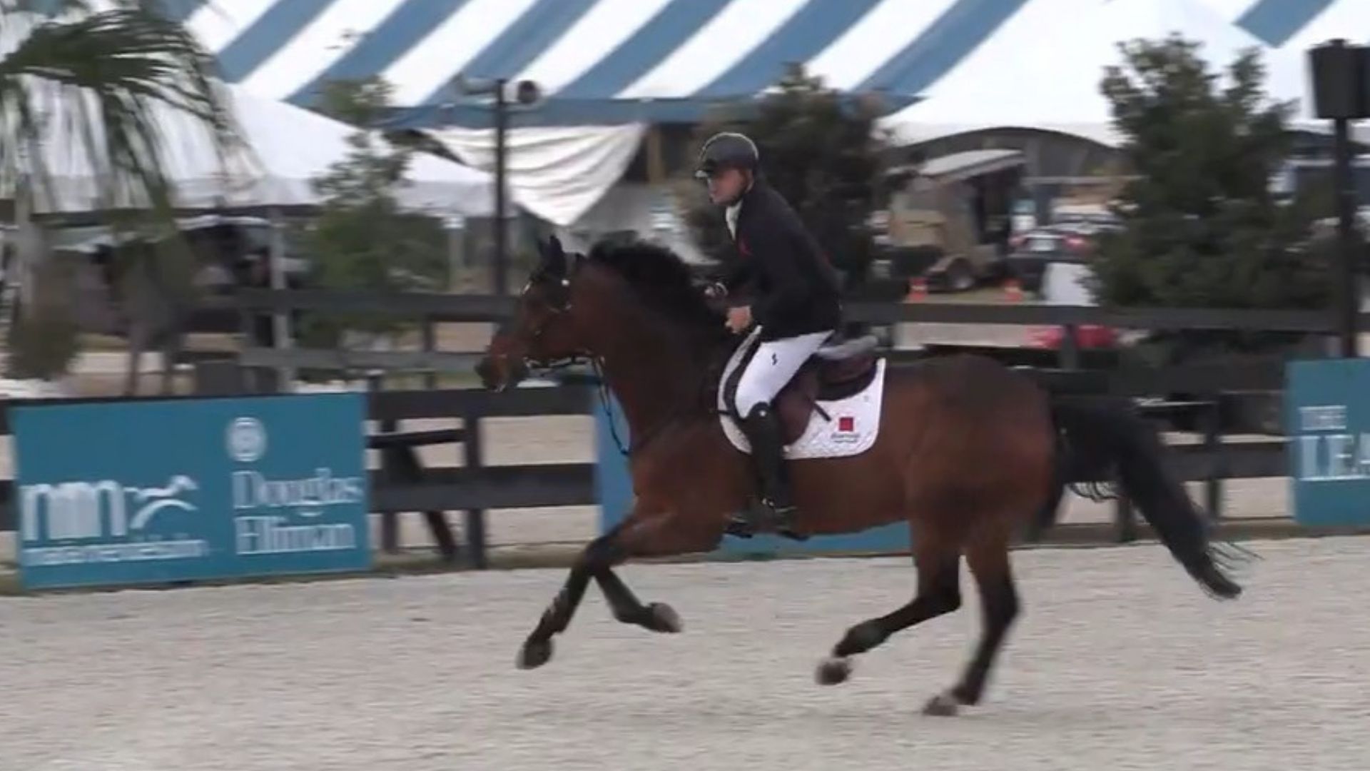 Charlie Jones Prevails in the $24,500 HorseFlight Jumper Classic
