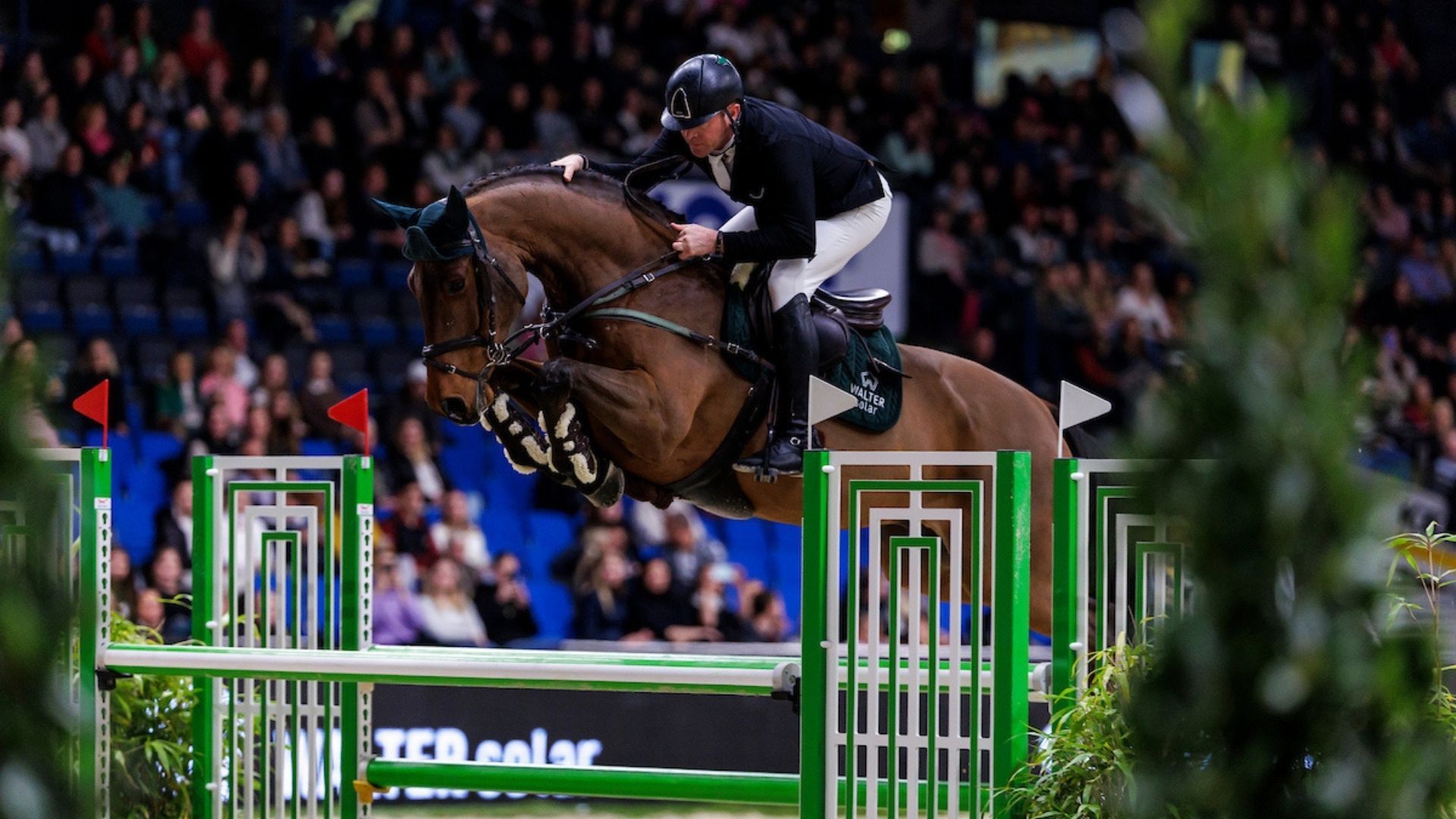 Mario Walter und Mufasa gewinnen das BW-Bank Hallenchampionat in Stuttgart!