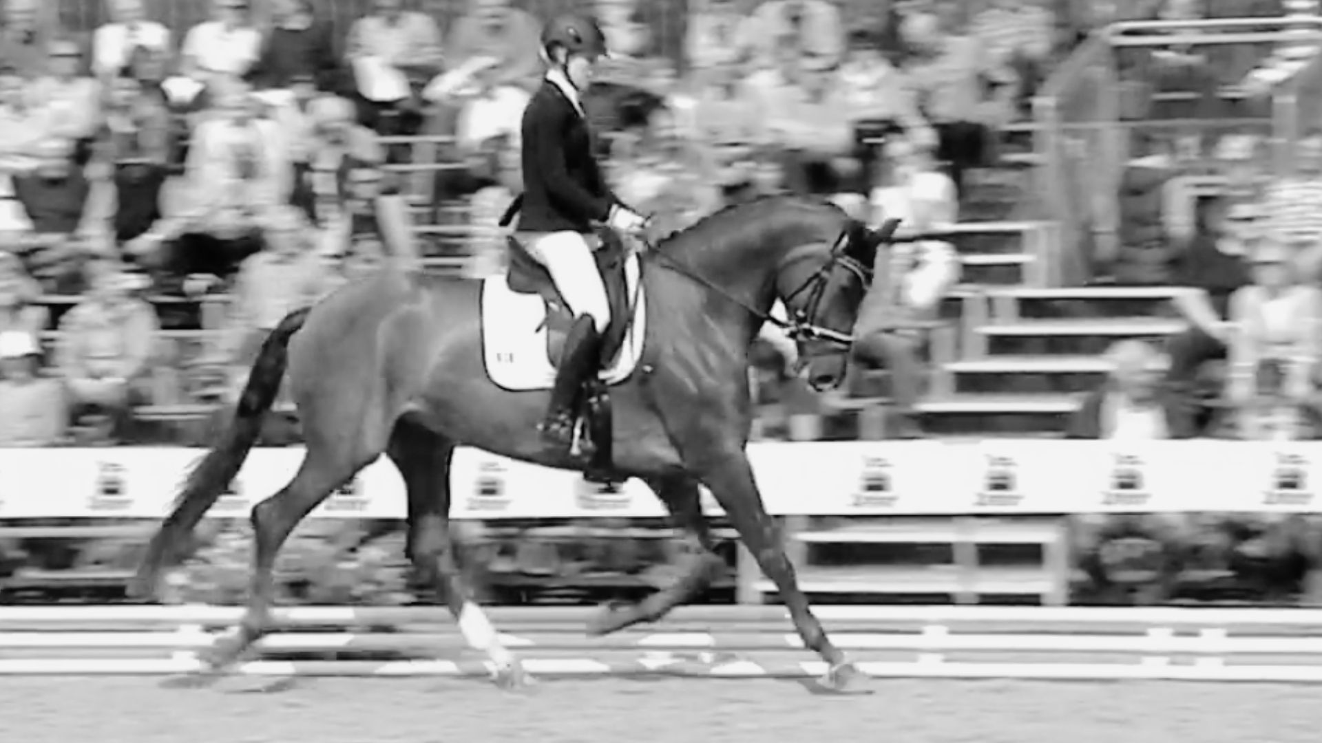 Dressurpferde-Weltmeisterin Victoria’s Secret mit 14 Jahren verstorben