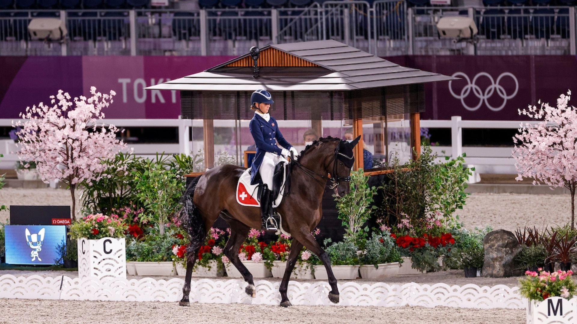 Hesselhoej Double Up verkauft an Schweizer Grand-Prix-Reiterin