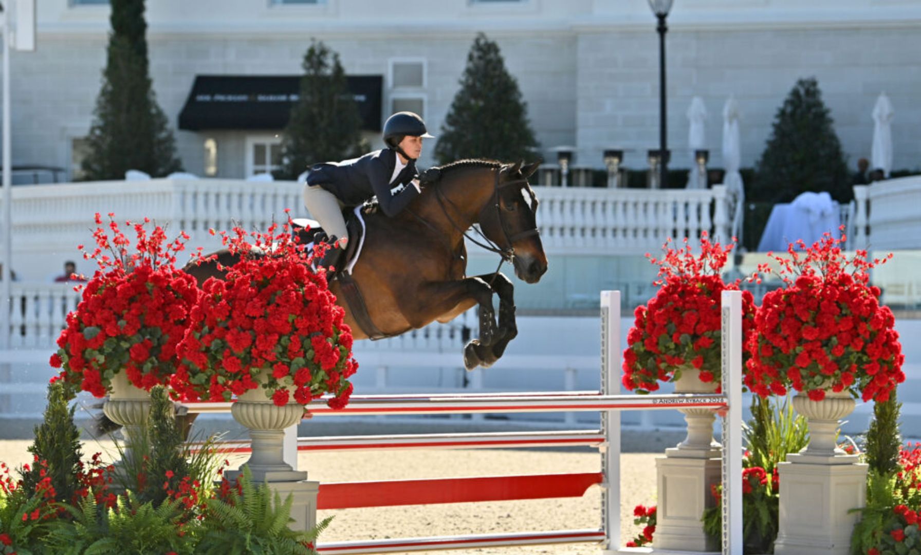 Parker Peacock Claims 2026 WEC Premier Equitation Cup Championship Under the Lights