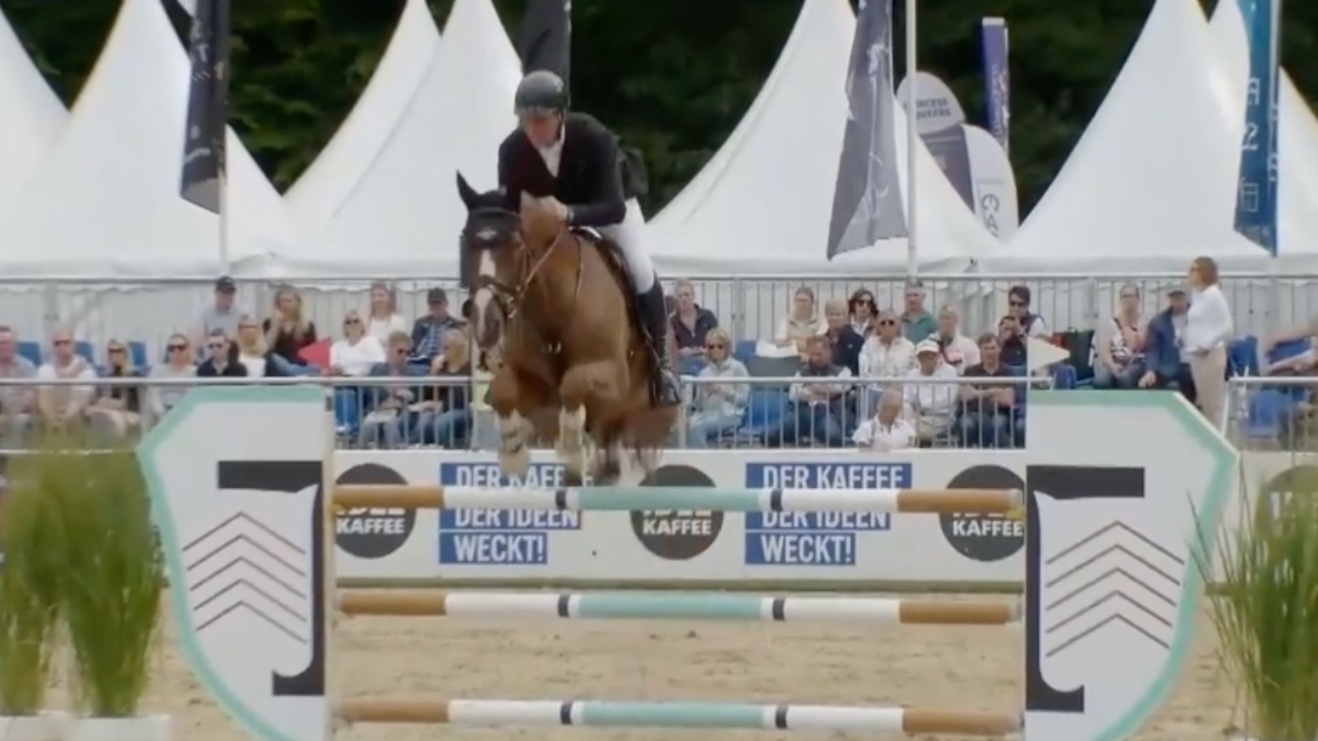 King George und David Will gewinnen auch die 2. Qualifikation der 7-jährigen Springpferde in Warendorf