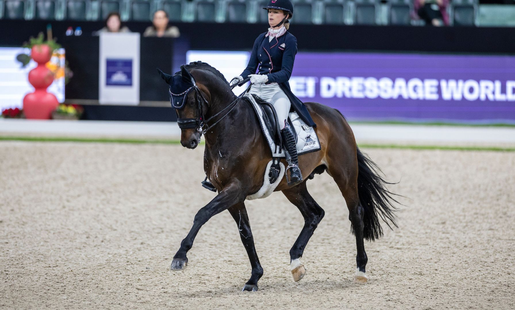 NOP Foundation without Grand Prix dressage horses in 2025