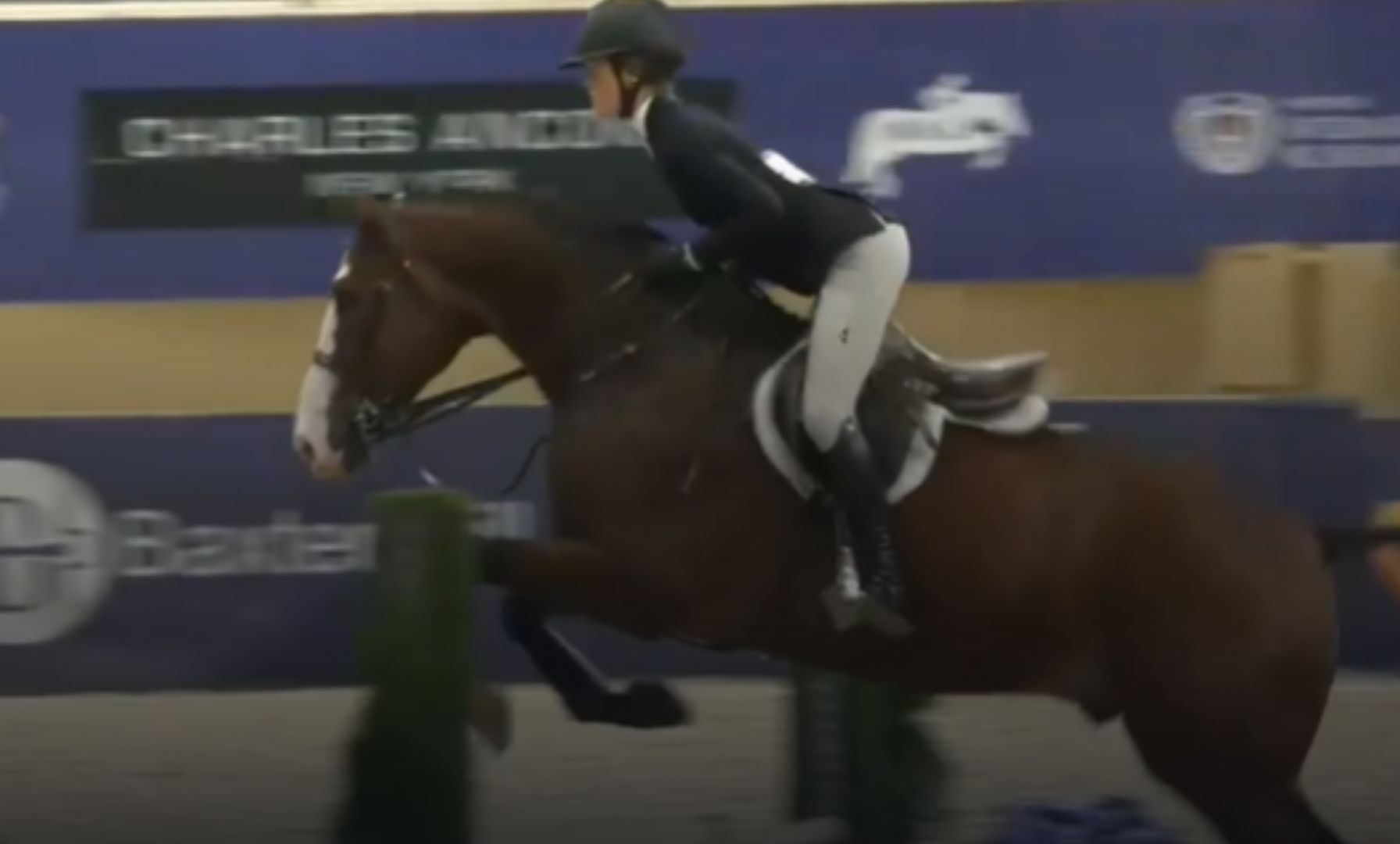Rider Spotlight: Taylor Demong Poised for Success at the Hamel Equitation Championship