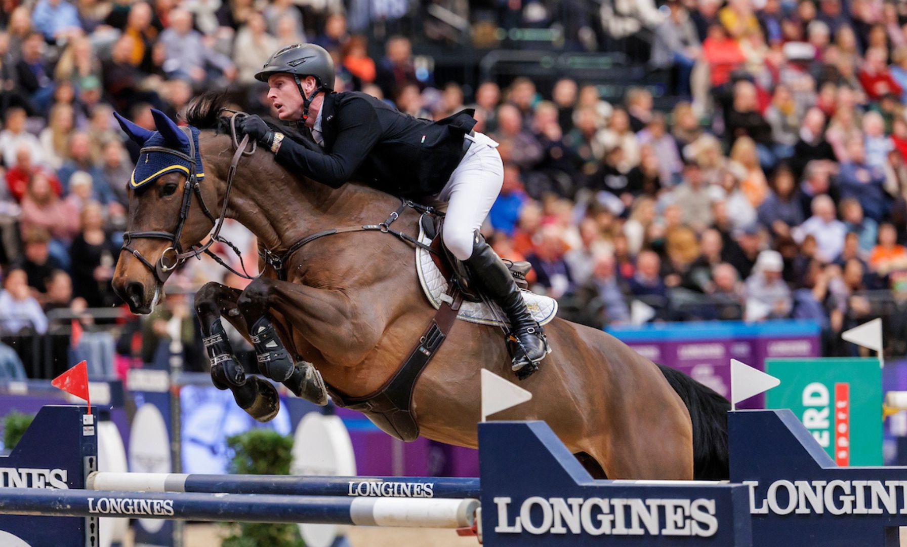 VDL Obsession erzielt Spitzenpreis bei WEF Sporthorse Auction