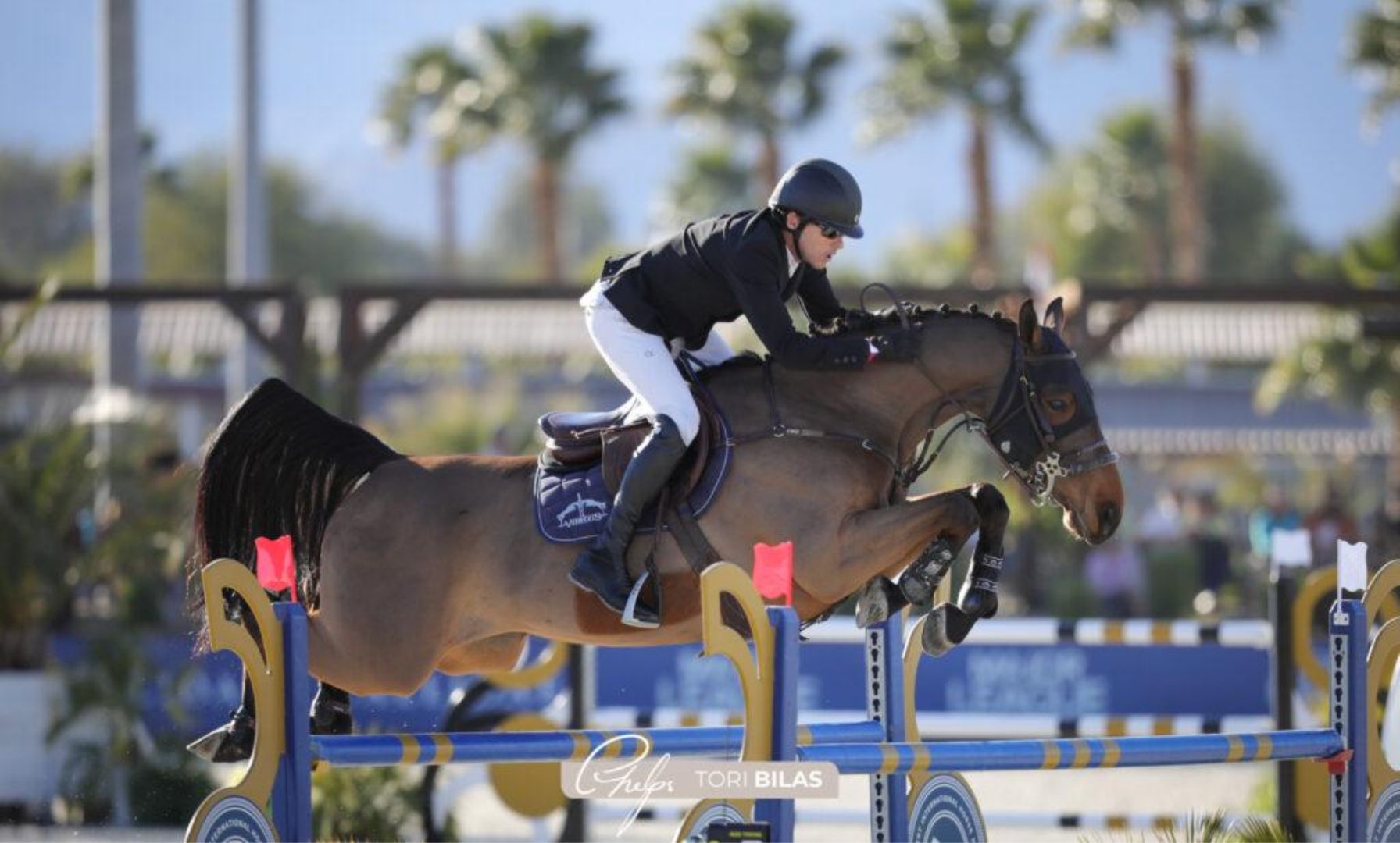 A Grand Farewell to a True Champion: Vital Chance de La Roque Retires