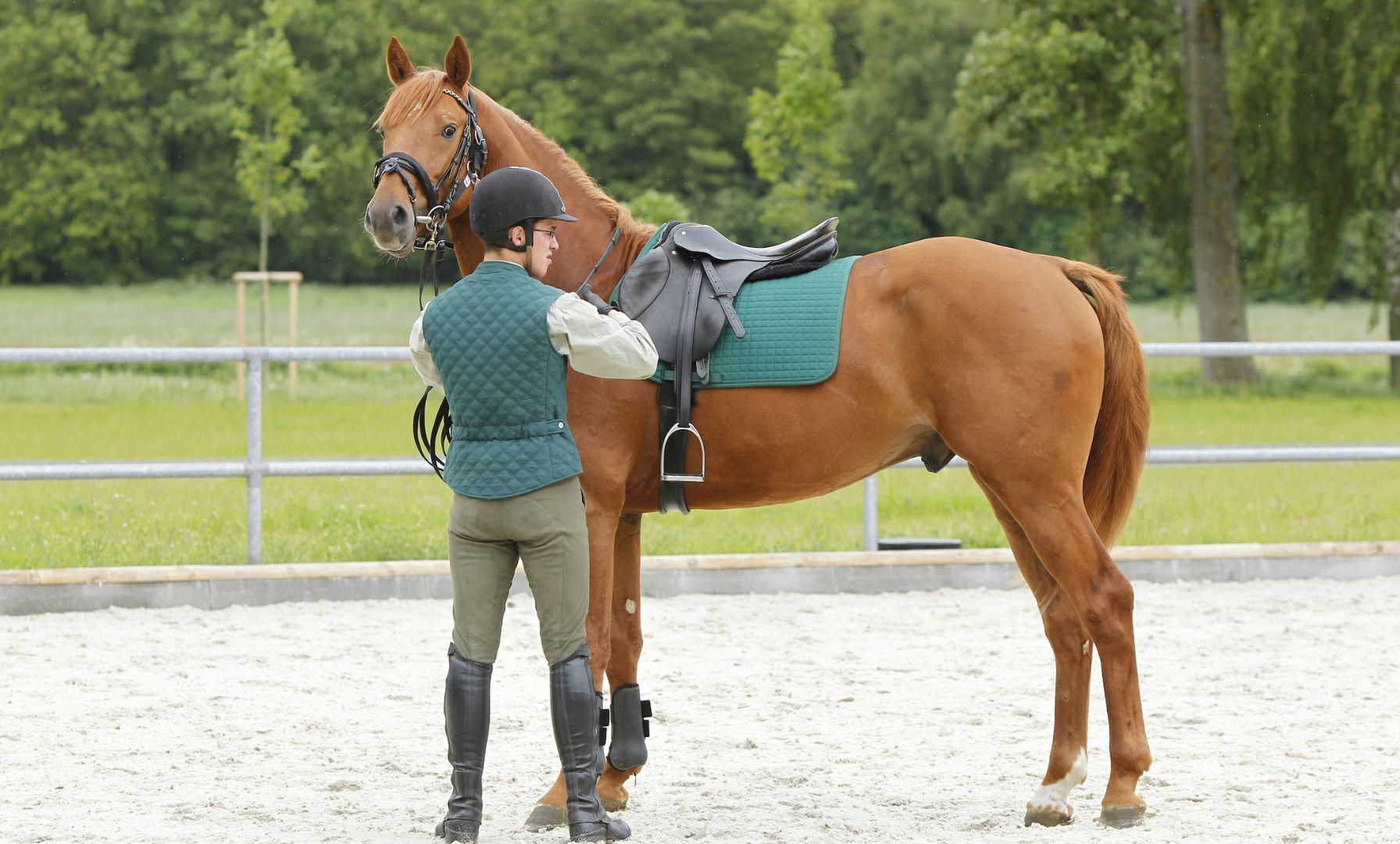 FEI Sports Forum Opens with Focus on Equine Welfare