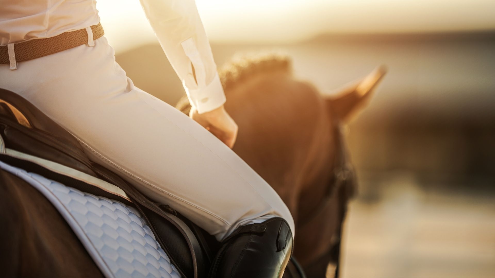 Technik für Pferde: Garmin startet mit Blaze in den Reitsport
