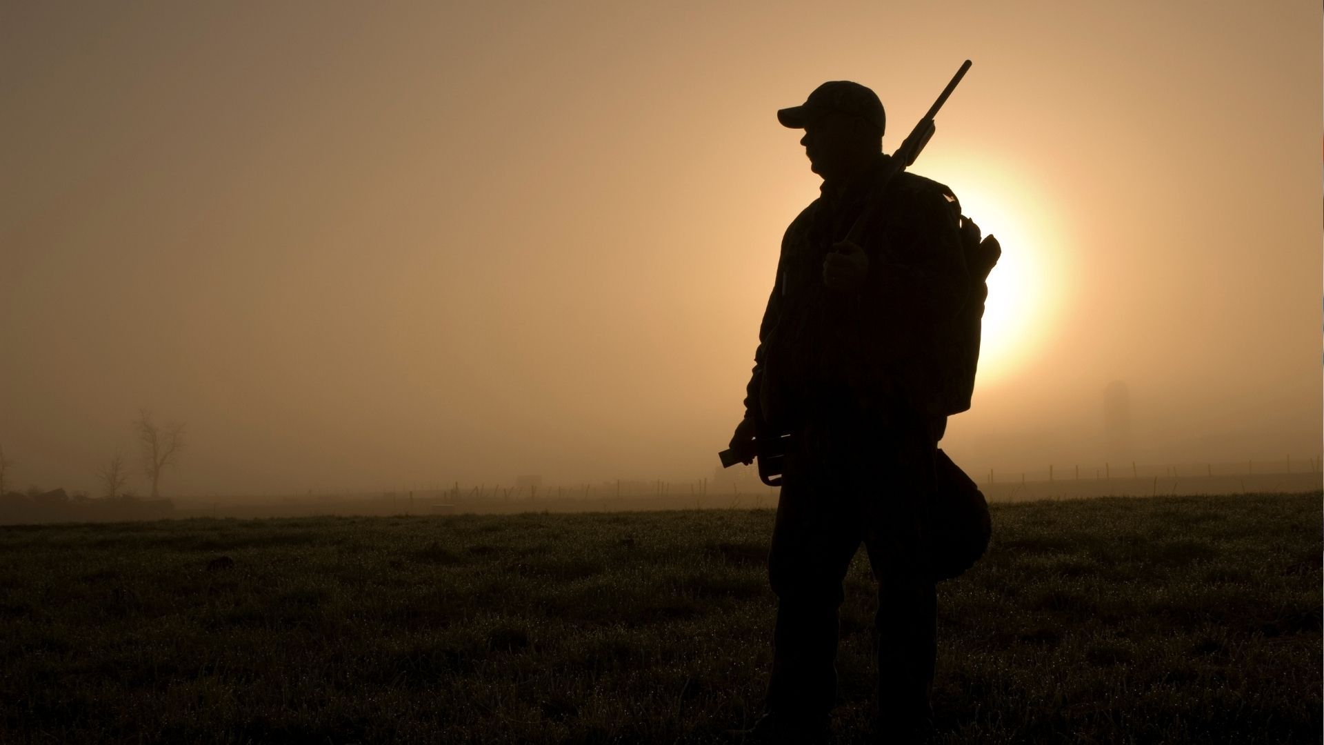 Pferd auf Weide erschossen: Jagdverwechslung in Neuss sorgt für Bestürzung
