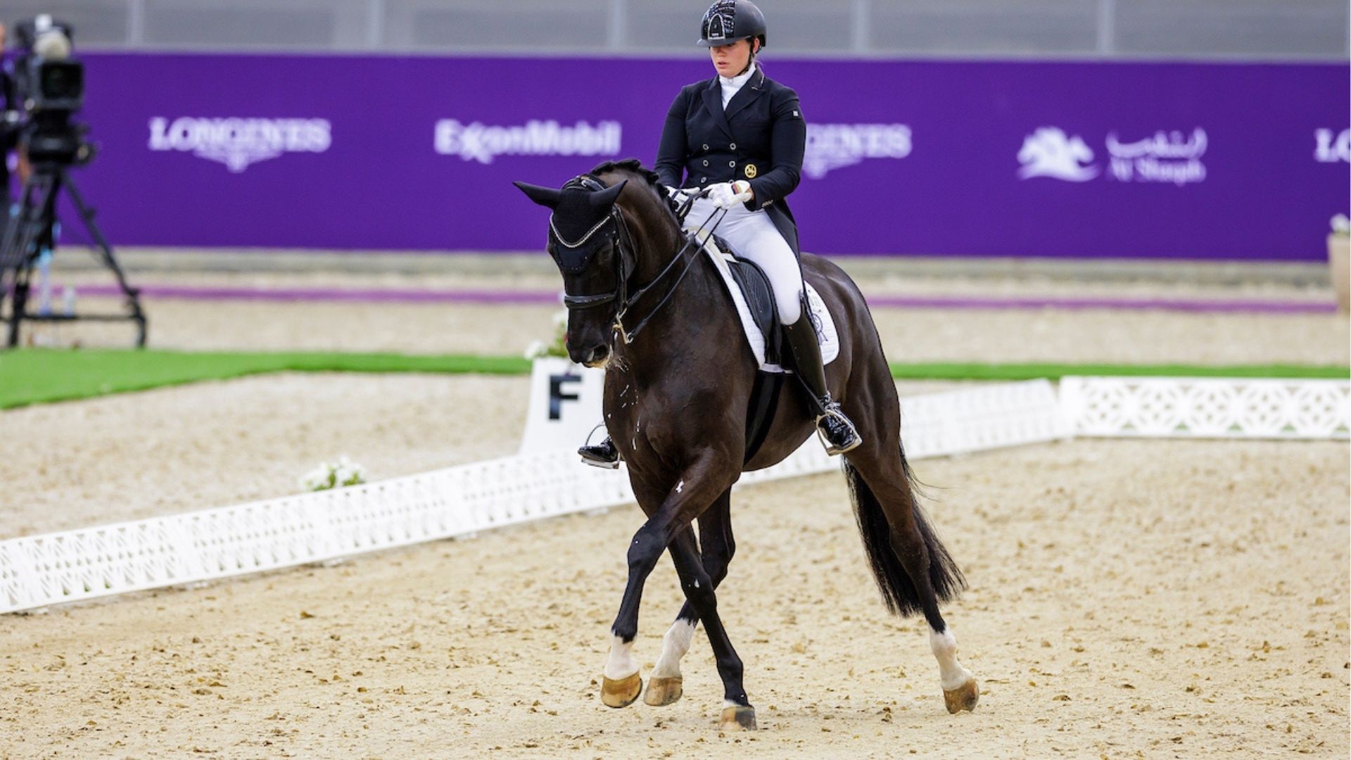 Starke deutsche Auftritte bei Nations Cup-Dressur in Falsterbo