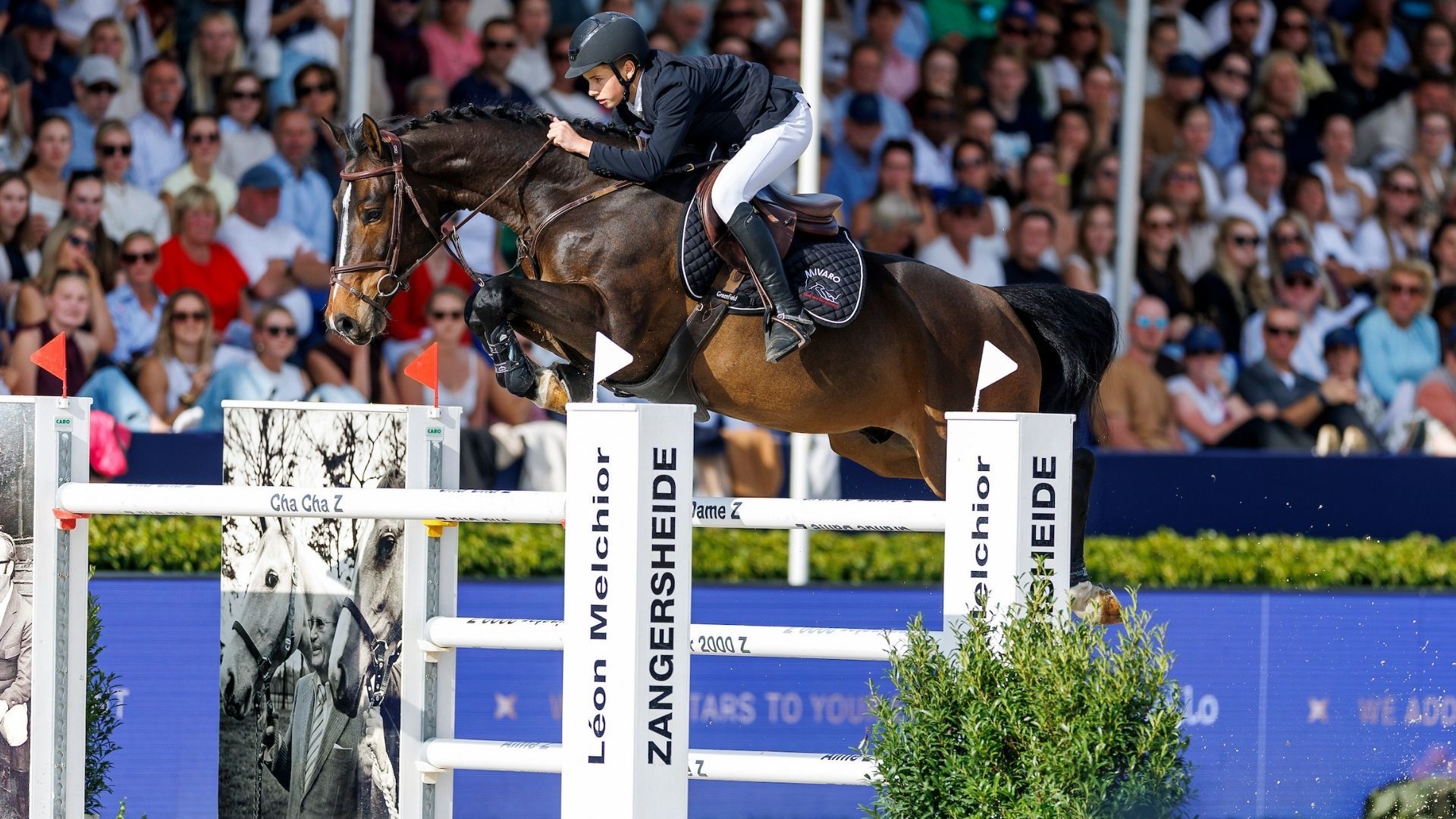 Das war 2025: Ein Rückblick auf die FEI Jumping World Breeding Championships for Young Horses der 7-jährigen Springpferde