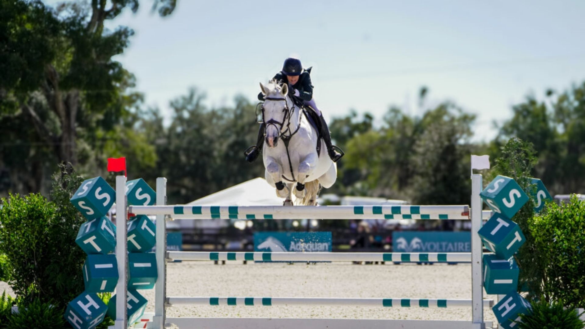 Tracy Fenney and MTM Apple Dominate the HITS Ocala Grand Prix