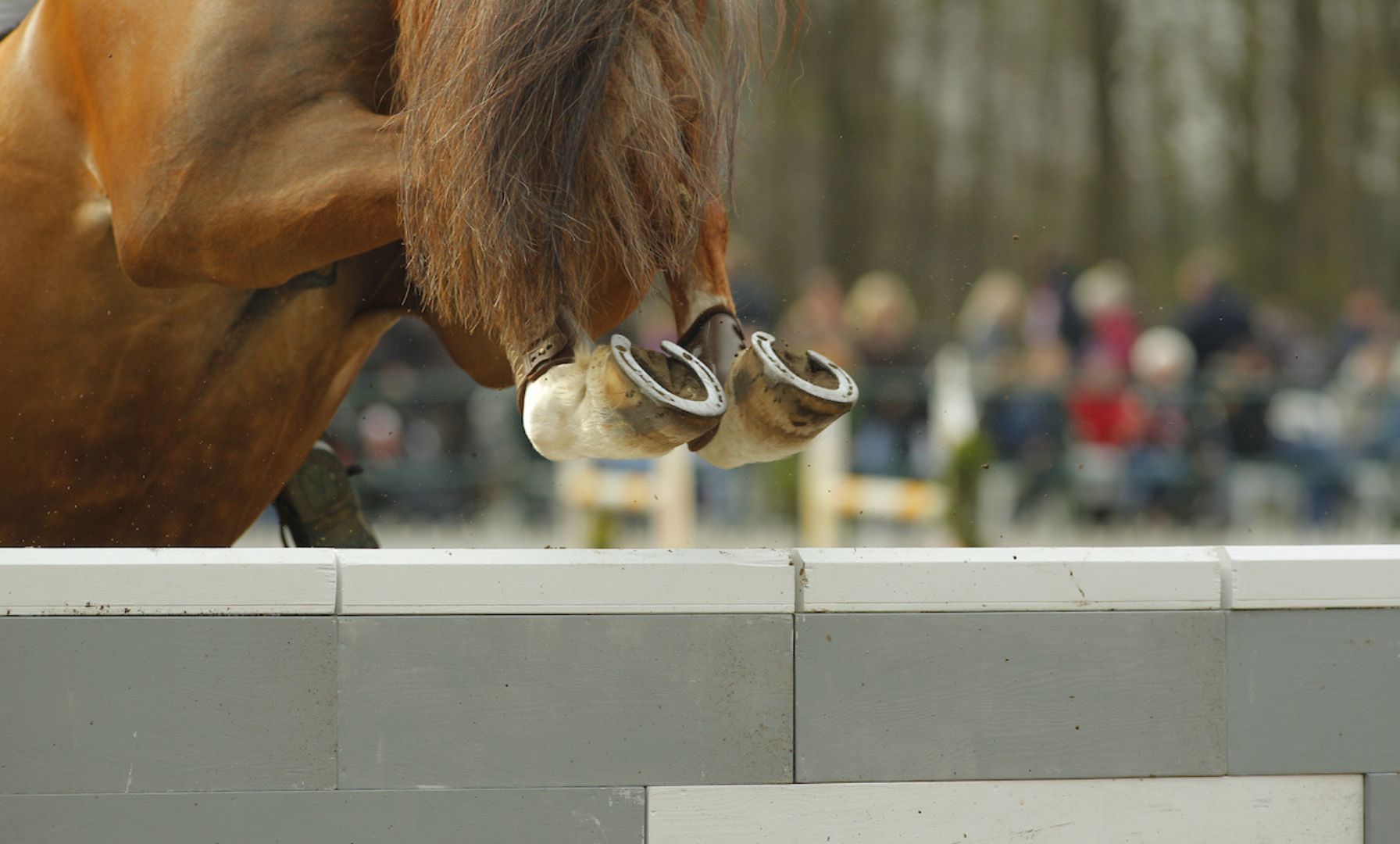 Deutsche Nominierungen für EM im Springsport stehen fest