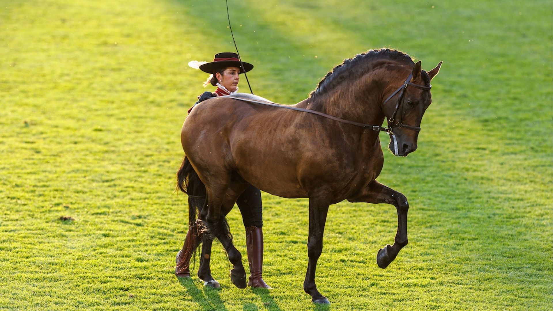 Andreas Steindl gewinnt „Silberne Kamera“ beim CHIO Aachen 2025