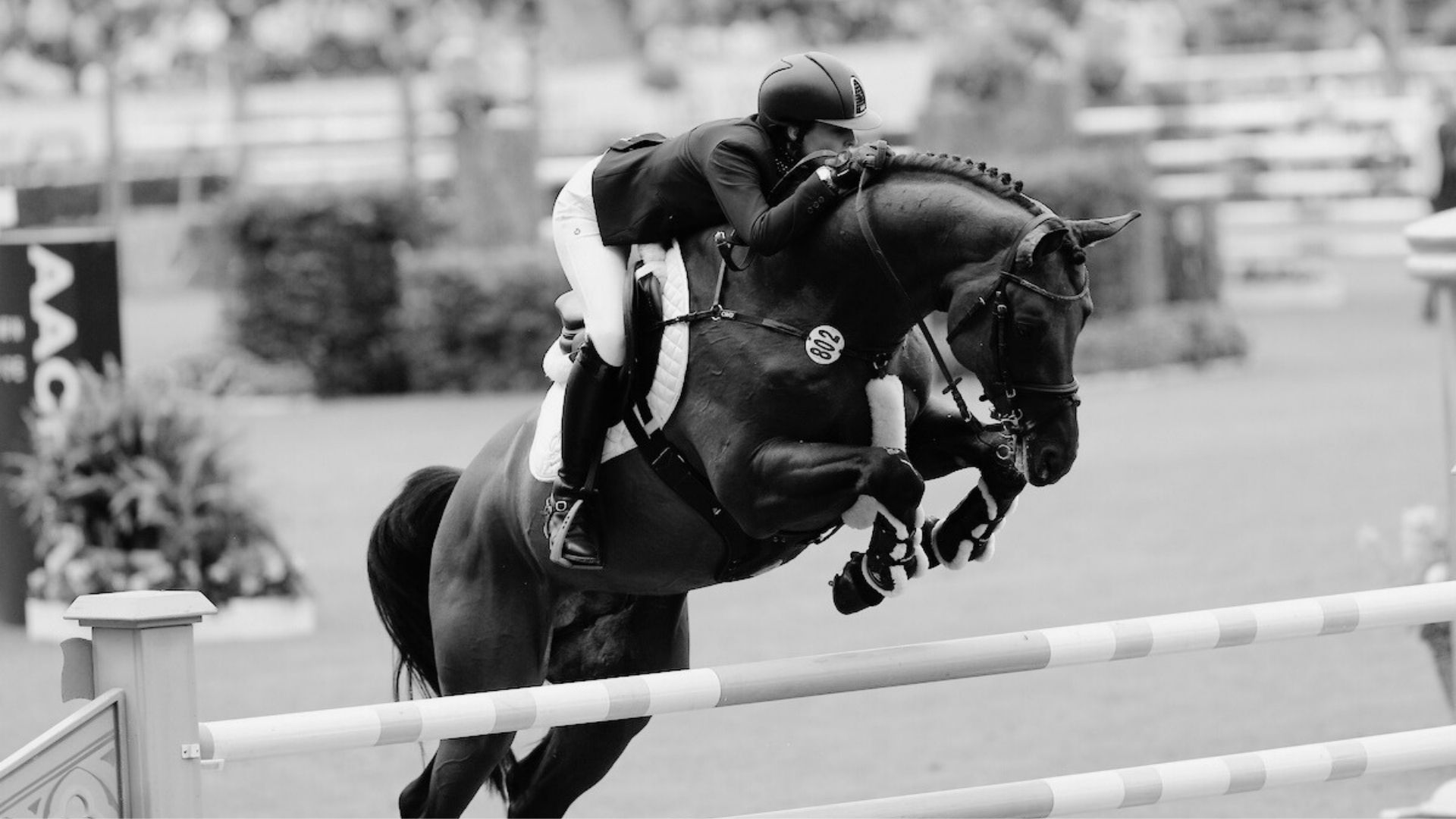 Abschied von A LA CARTE NRW: Ein Verlust für den Sport und die Zucht