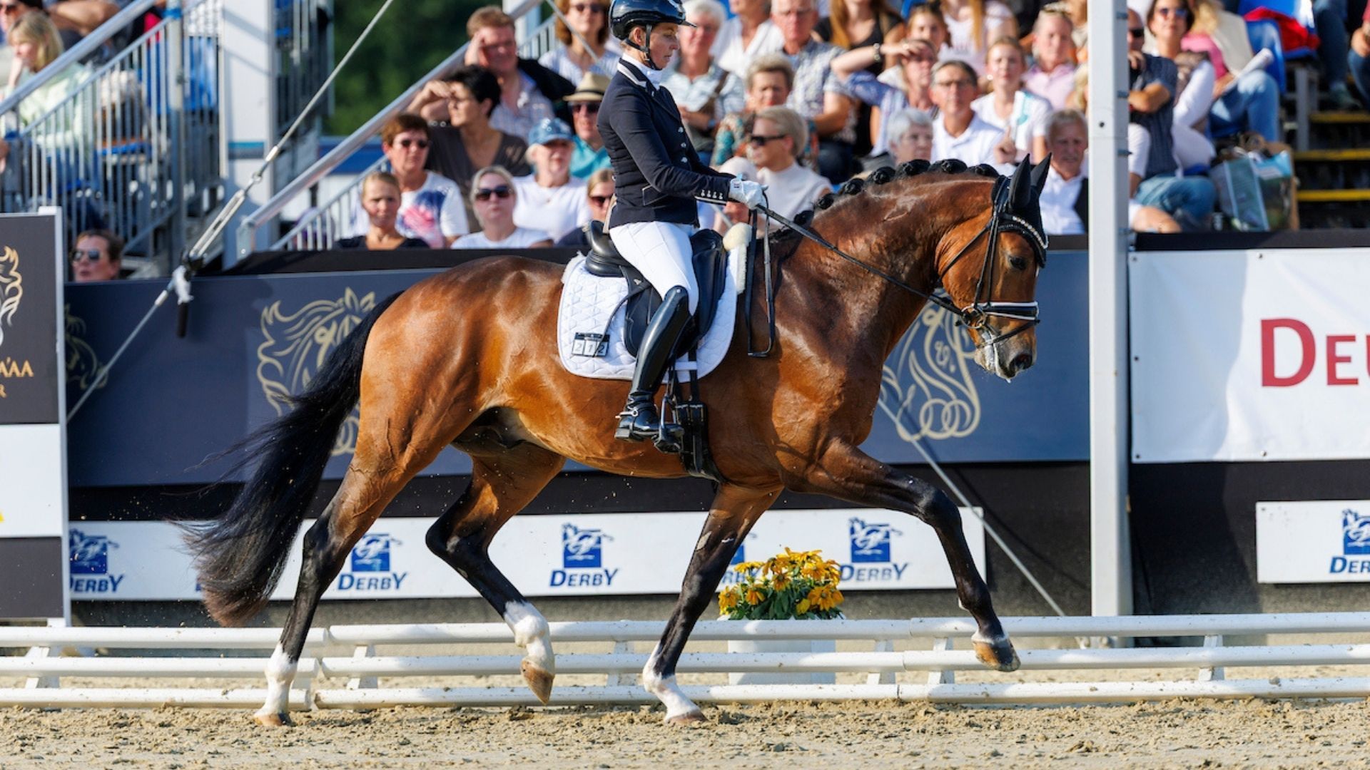 Oldenburger Championate ziehen nach Höven