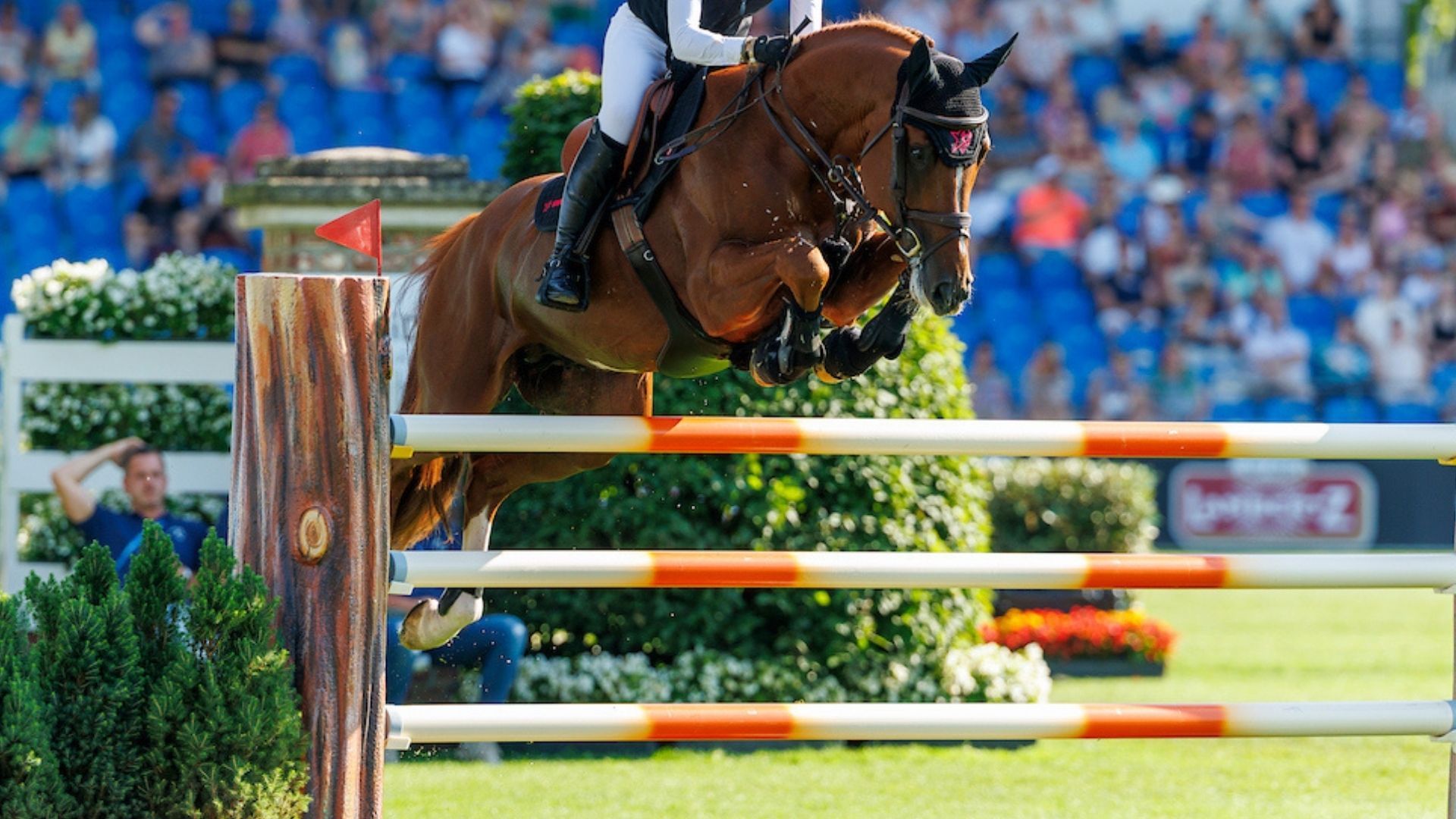 Erfolg für Richard Vogel in Wellington im CSI5* Springen