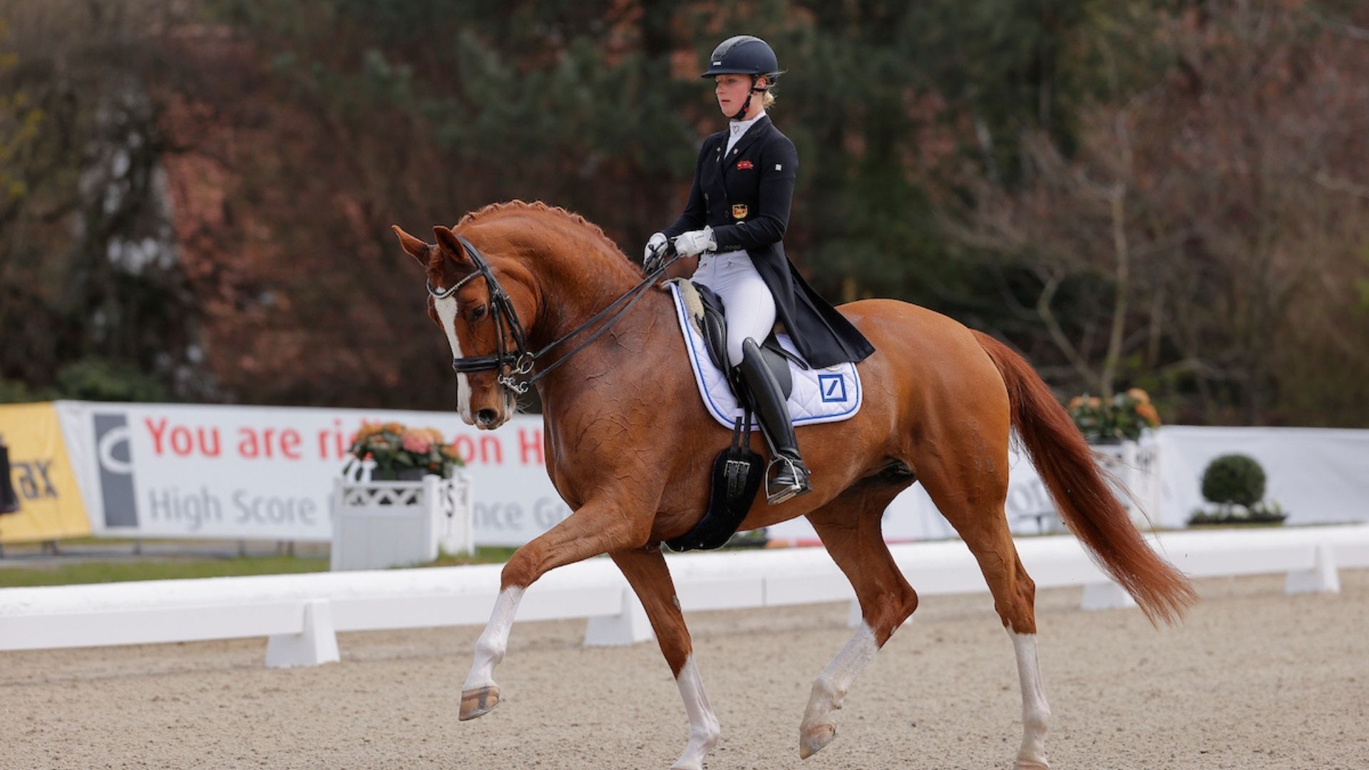 Bianca Nowag-Aulenbrocks Florine OLD an Nachwuchsreiterin verkauft