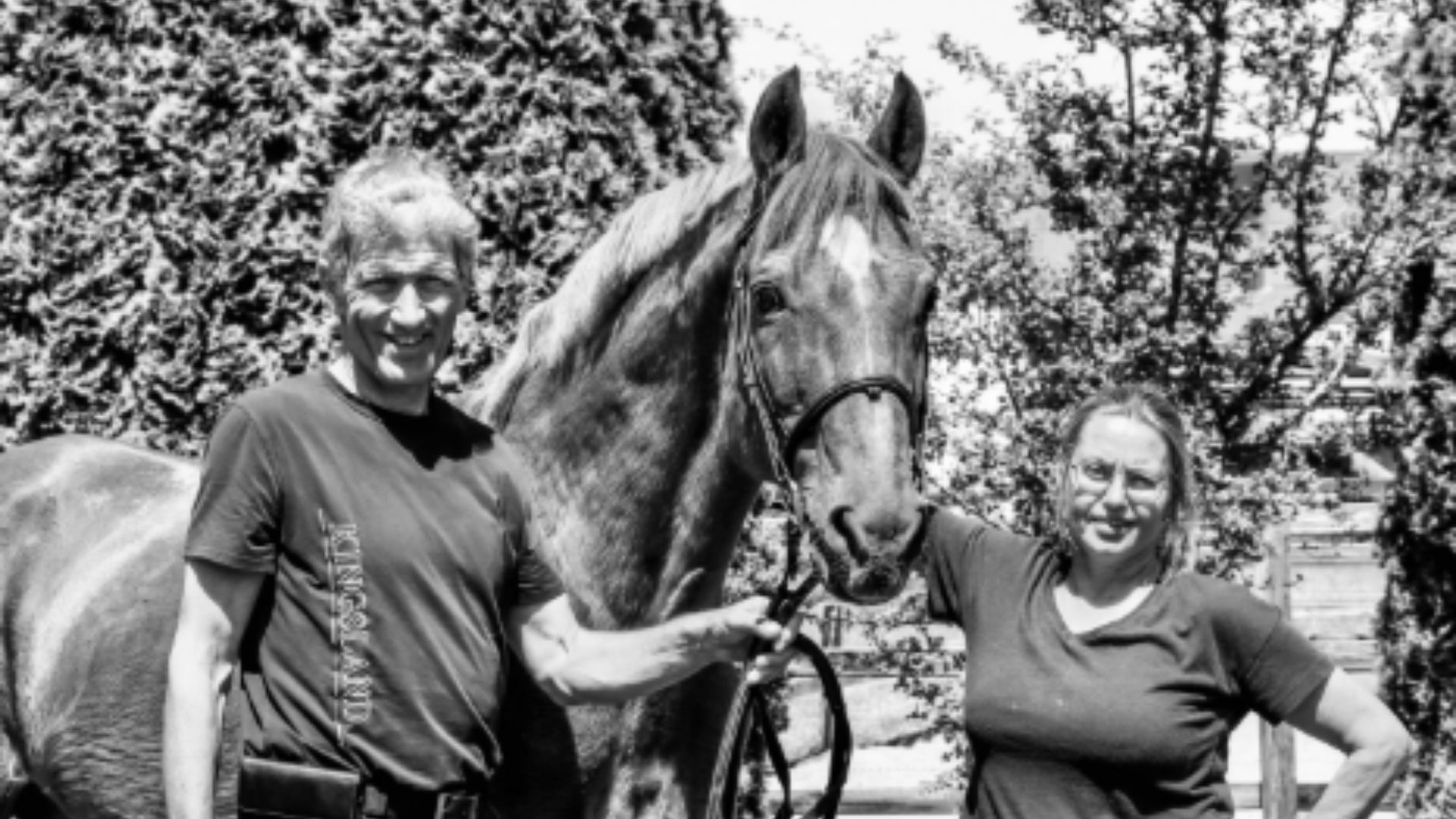 Ludger Beerbaum's Goldfever lebt nicht mehr