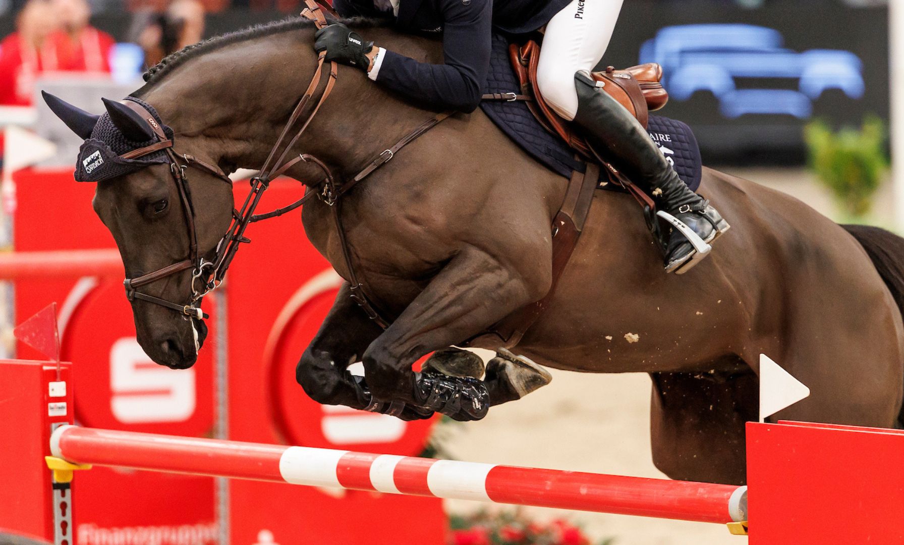 Olivia Cliver Wins $50,000 Southern Way Farm Grand Prix