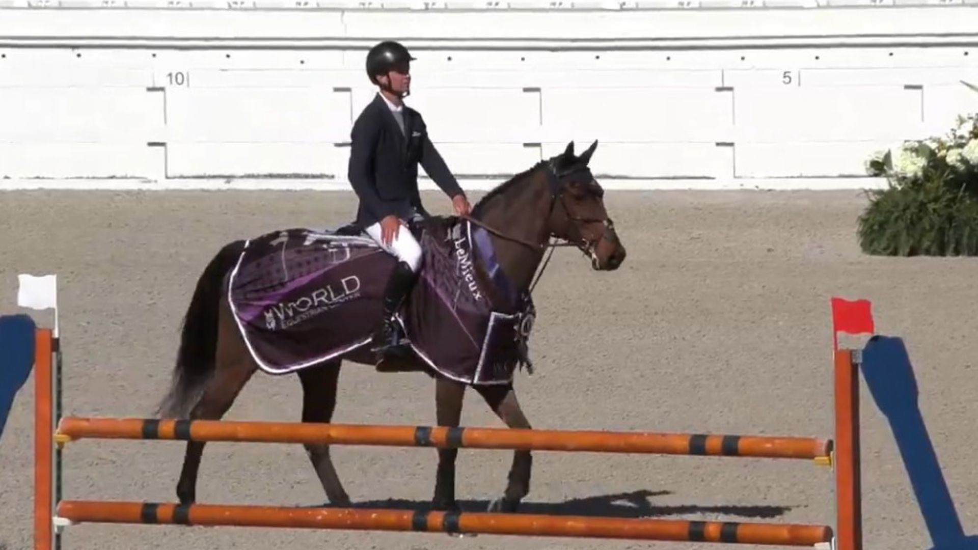 Tom Wachman Wins the $117,000 Grand Prix Qualifier at WEC Ocala