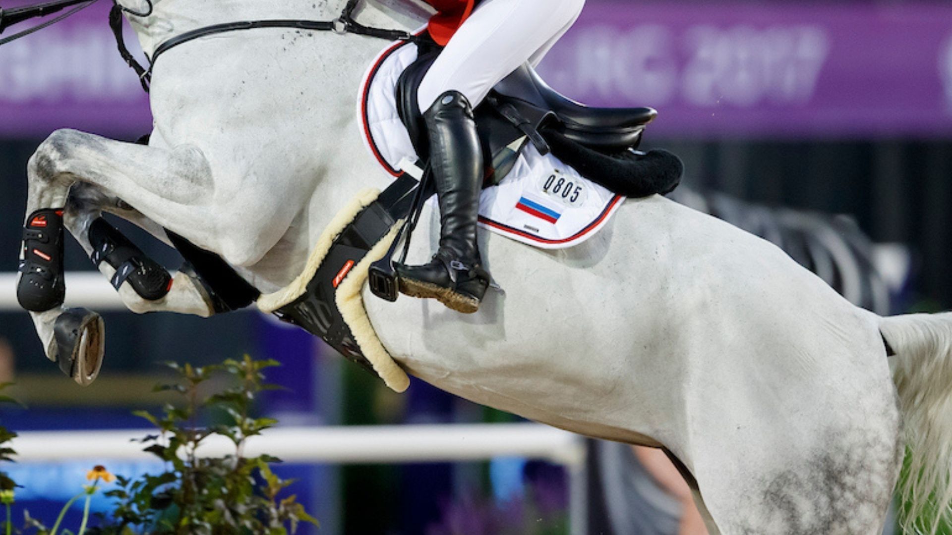 Restrictions eased for Russian and Belarusian athletes at FEI events