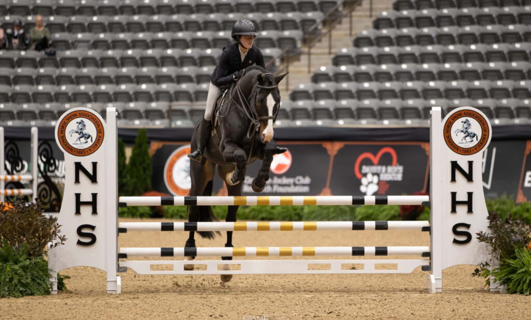 Sydney Mohrhardt and Saint Louis Shine in the Hamel NHS 3'3" Equitation Championship