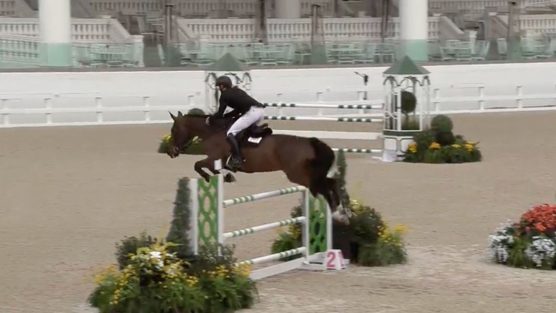 Richard Vogel mit neuem Pferd platziert in Ocala