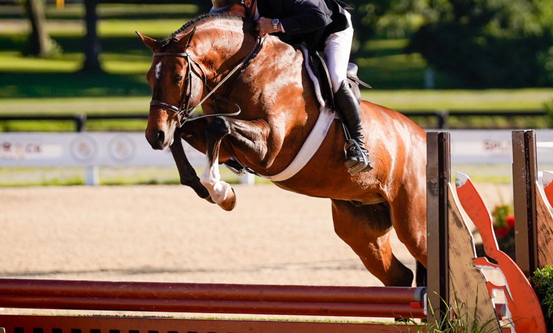 Liza Boyd Wins $150,000 USHJA Palm Beach Hunter Spectacular