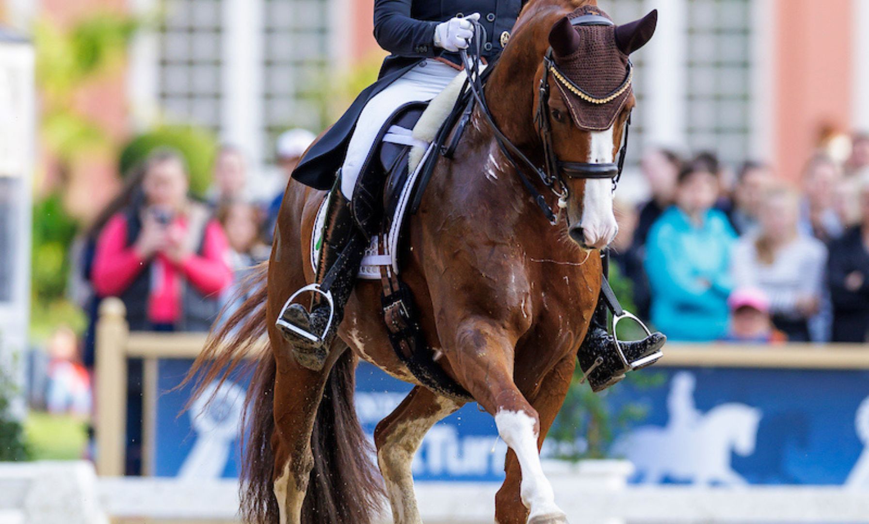 Benjamin Werndl mit Quick Decision vor Jessica von Bredow-Werndl und Got It BB
