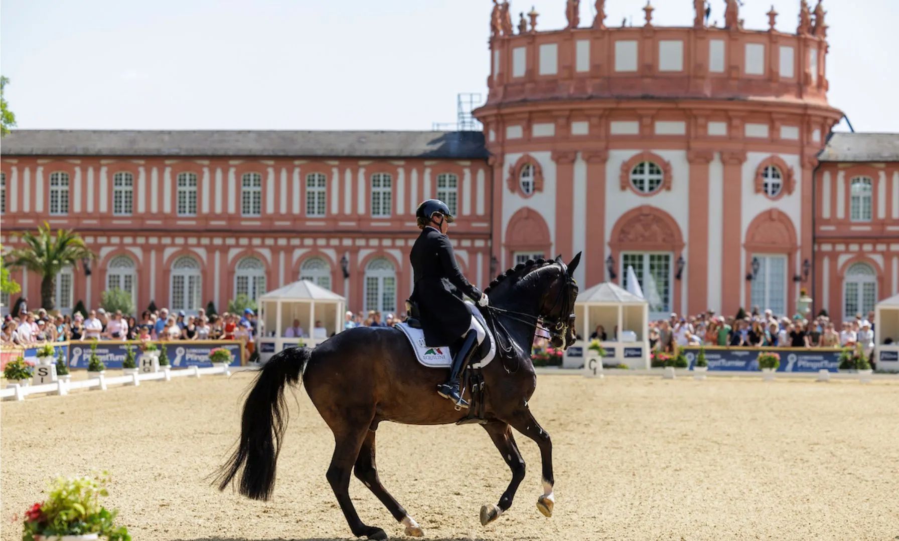 Top-Stars im Sattel: Wiesbadener Pfingstturnier trotzt internationalem Druck